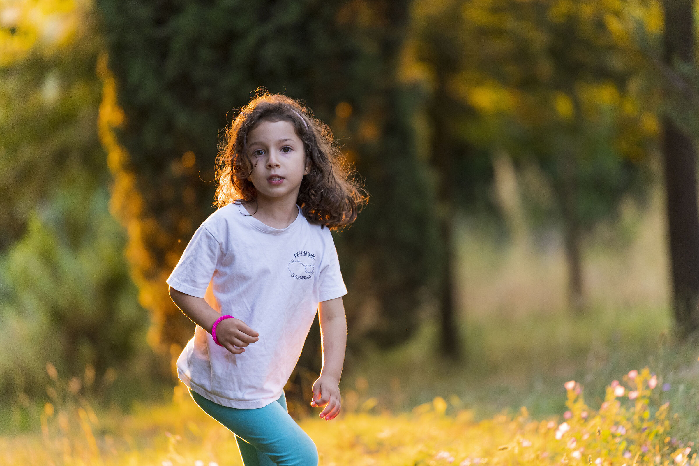 Sorpresa nel bosco