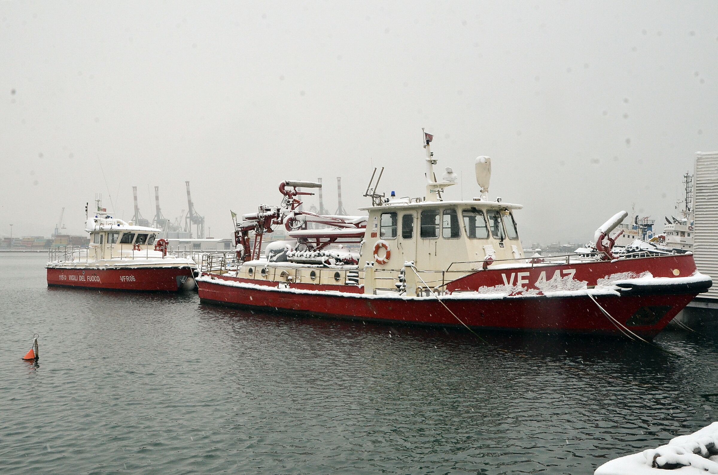 Spice under the Snow