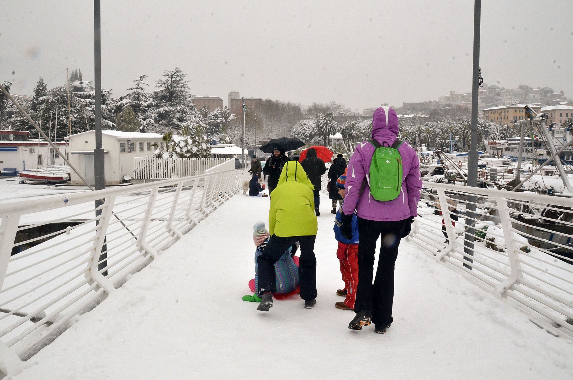 Spice under the Snow 4