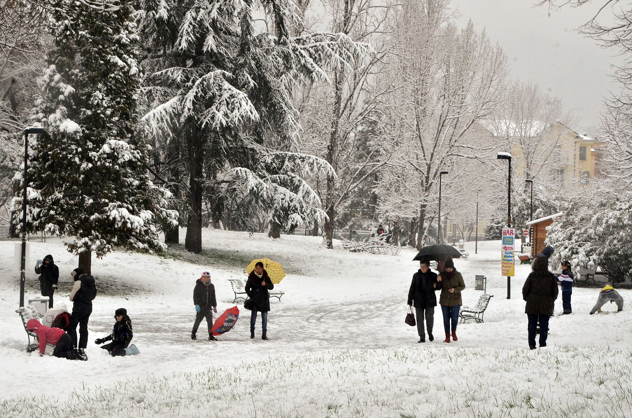 Parks under the snow