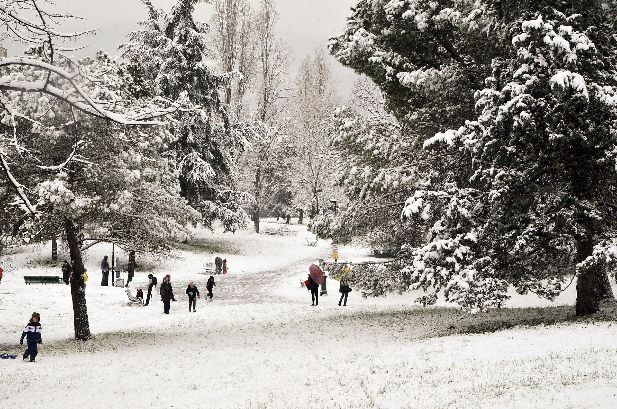 Parks under the Snow 2