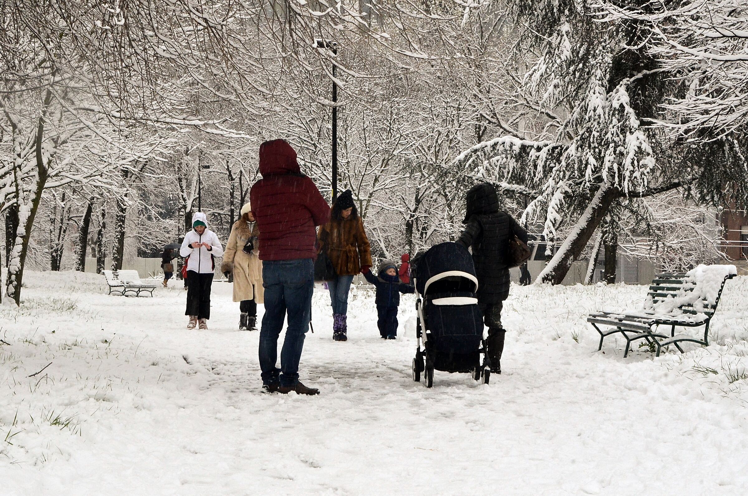 Parks under the Snow 3