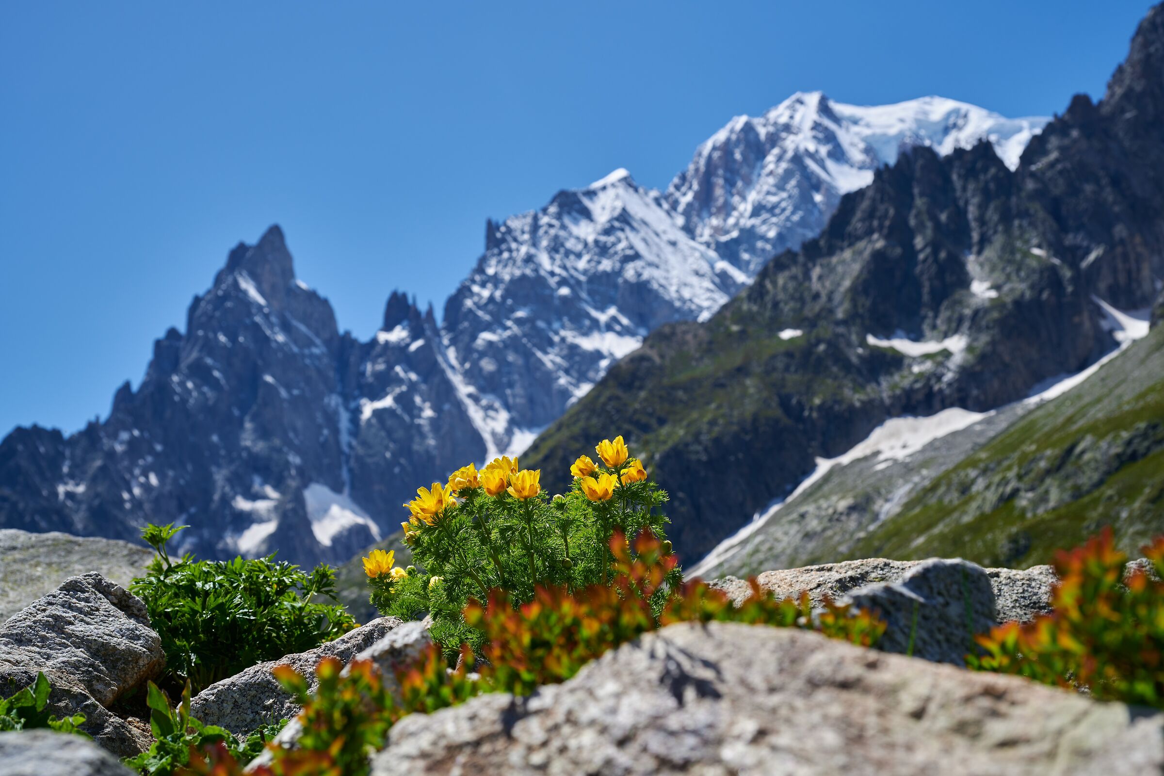 Ai piedi del Monte Bianco