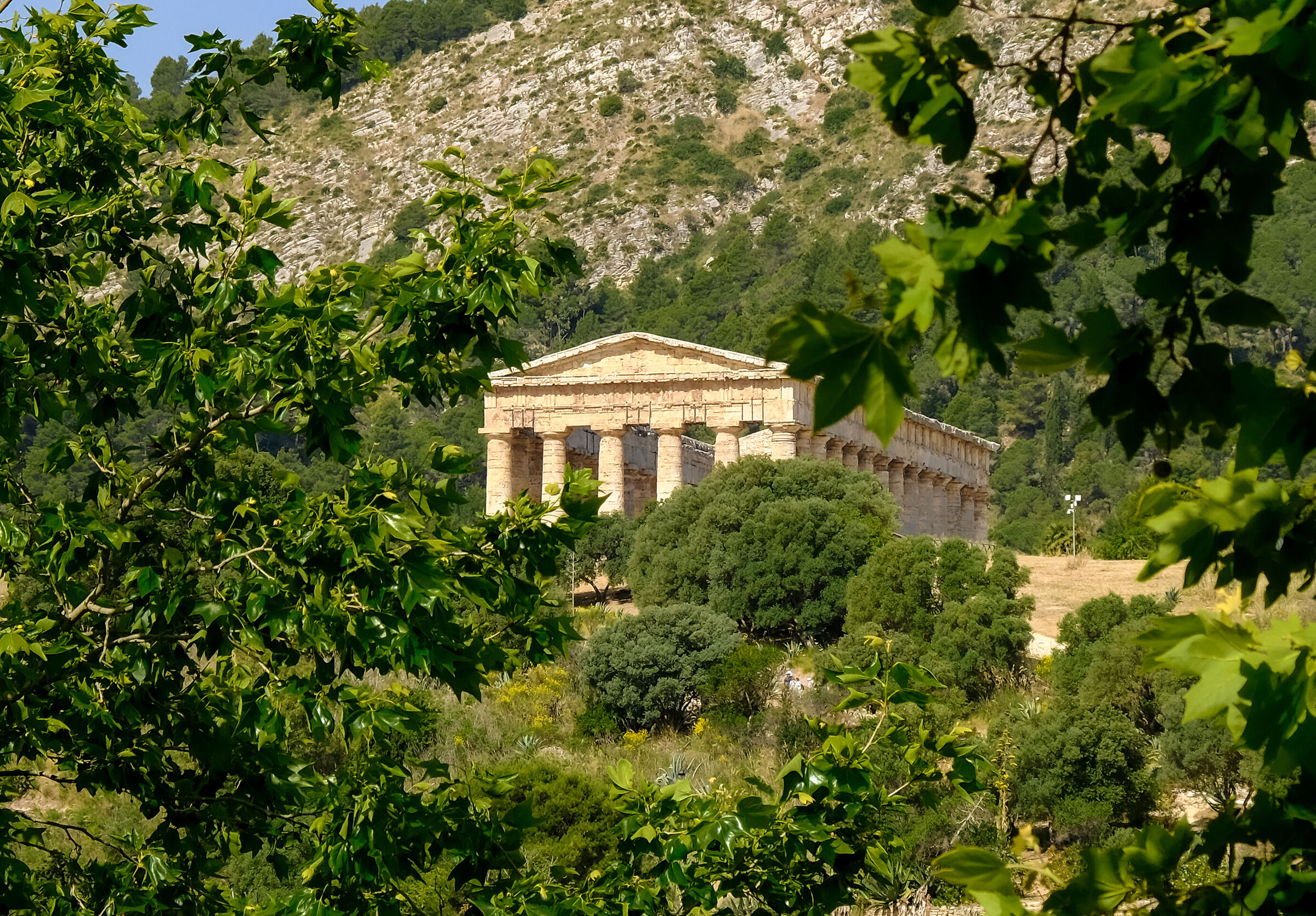 Segesta Car Hire
