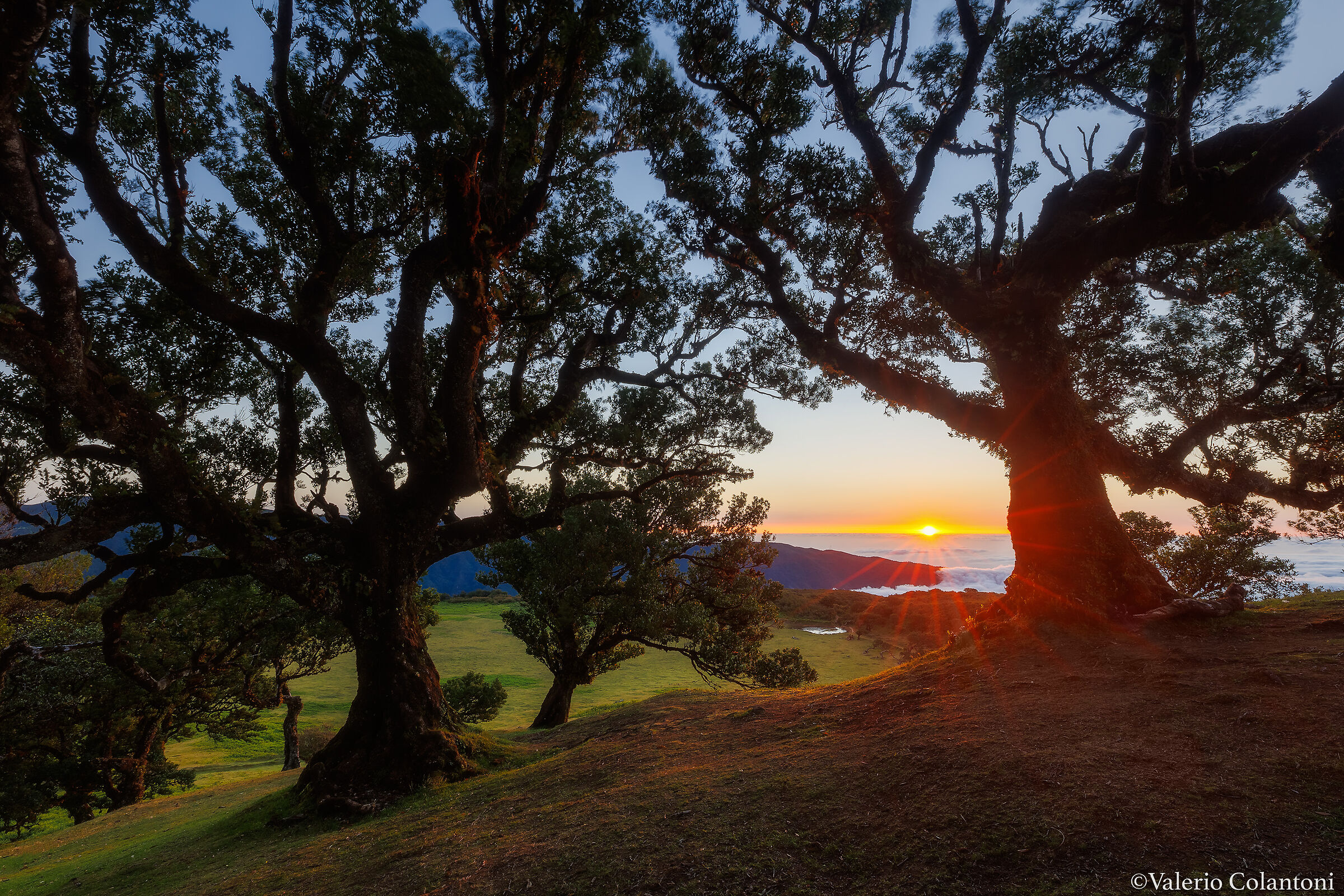 Sunset at the Fanal forest...