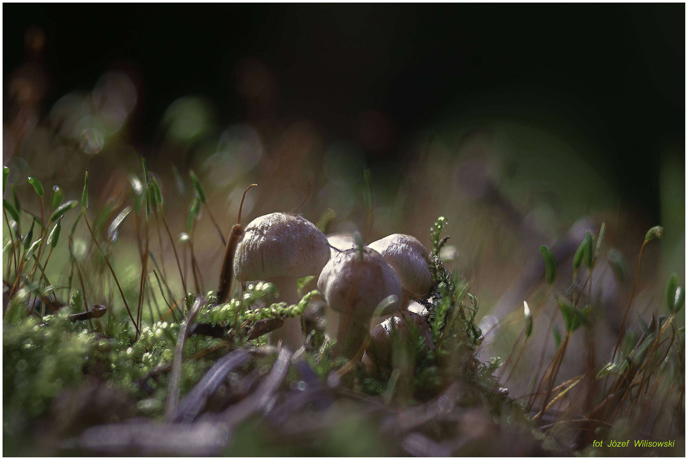 Russian lens j25u  4,5/110