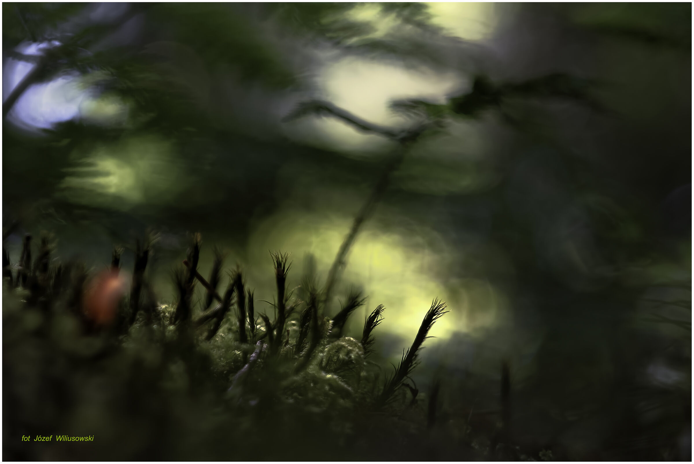 Modified Diaplan 80/2,8