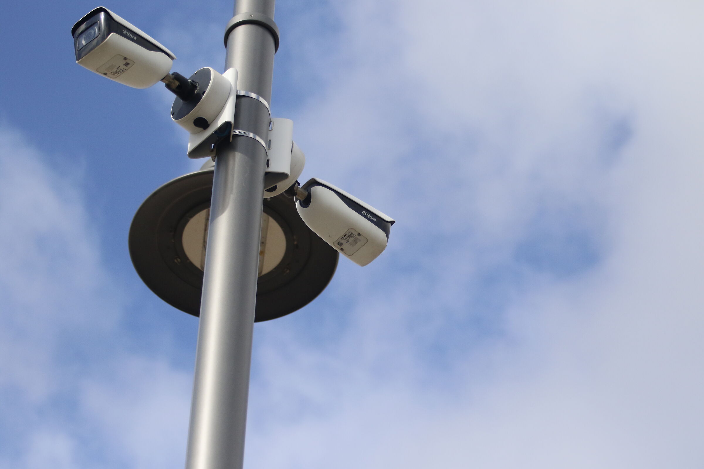 1/ 8.0 0 0, F. 5, ISO 1.0 0 0- 7D II, DO