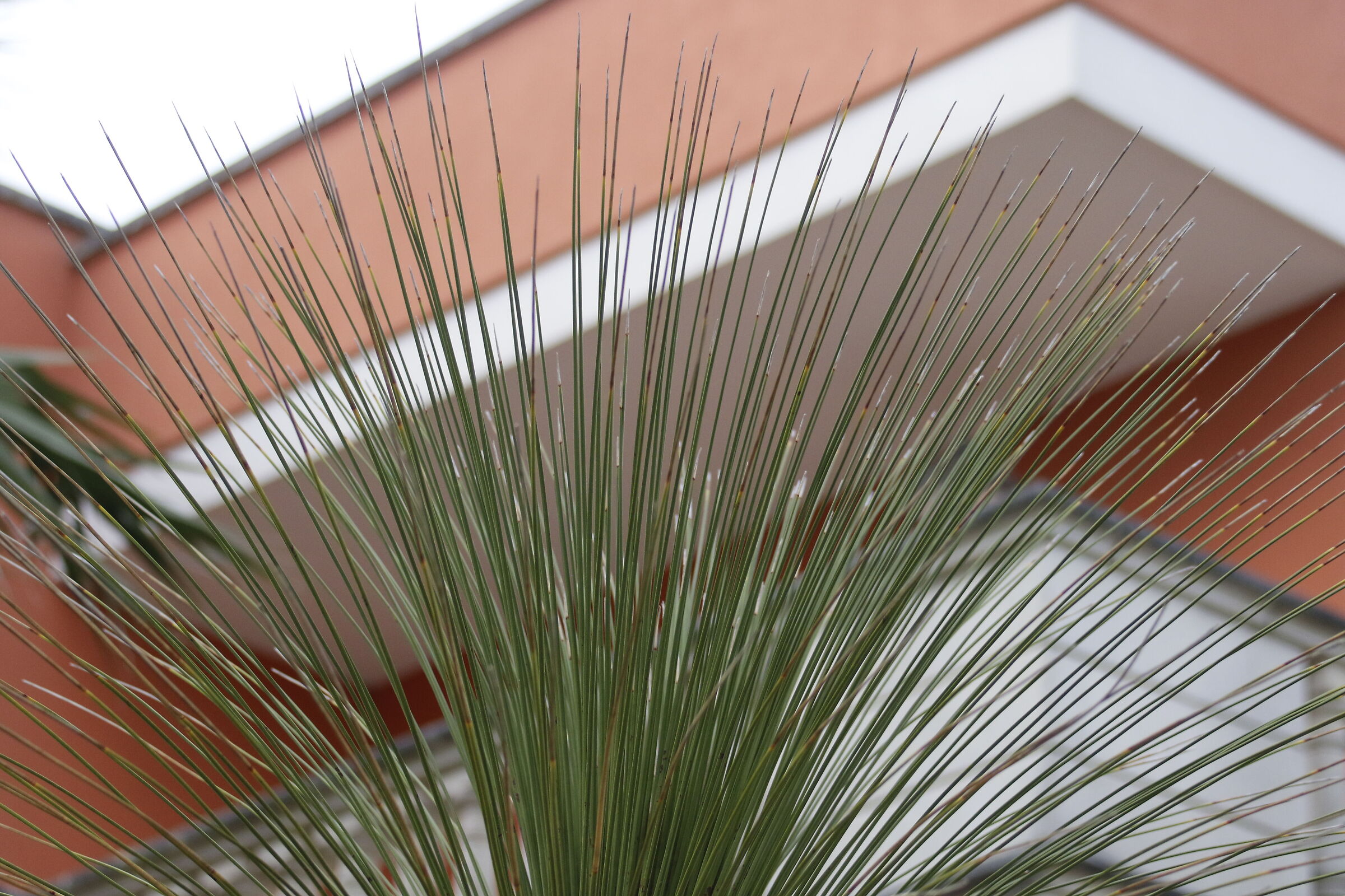 1/ 2.0 0 0, F. 5, ISO 1.0 0 0- 7D II, DO