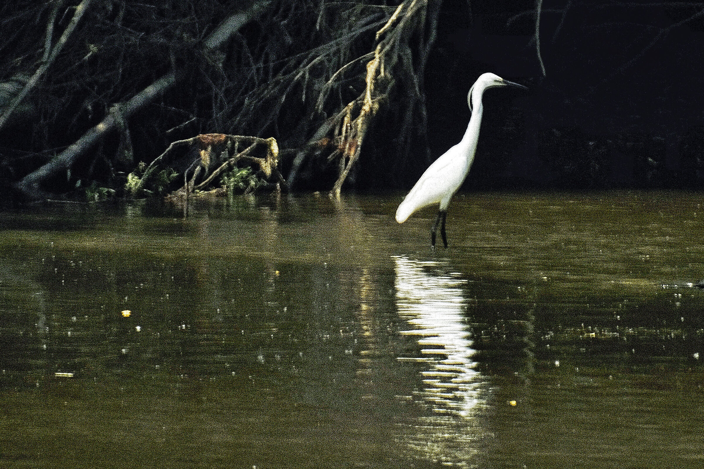 Fishing