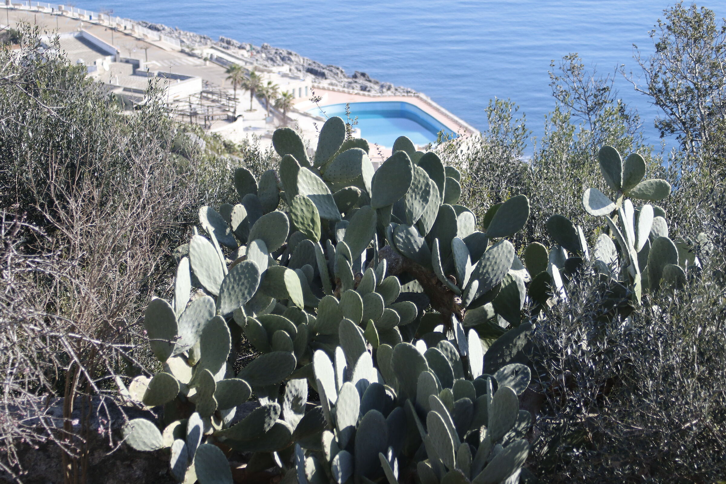 1/ 2.0 0 0, F. 5, ISO 500- 7D II, DO