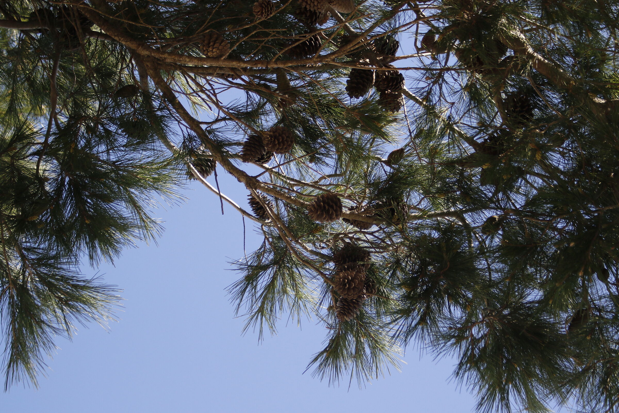 1/ 2.0 0 0, F. 4.5, ISO 500- 7D II, DO