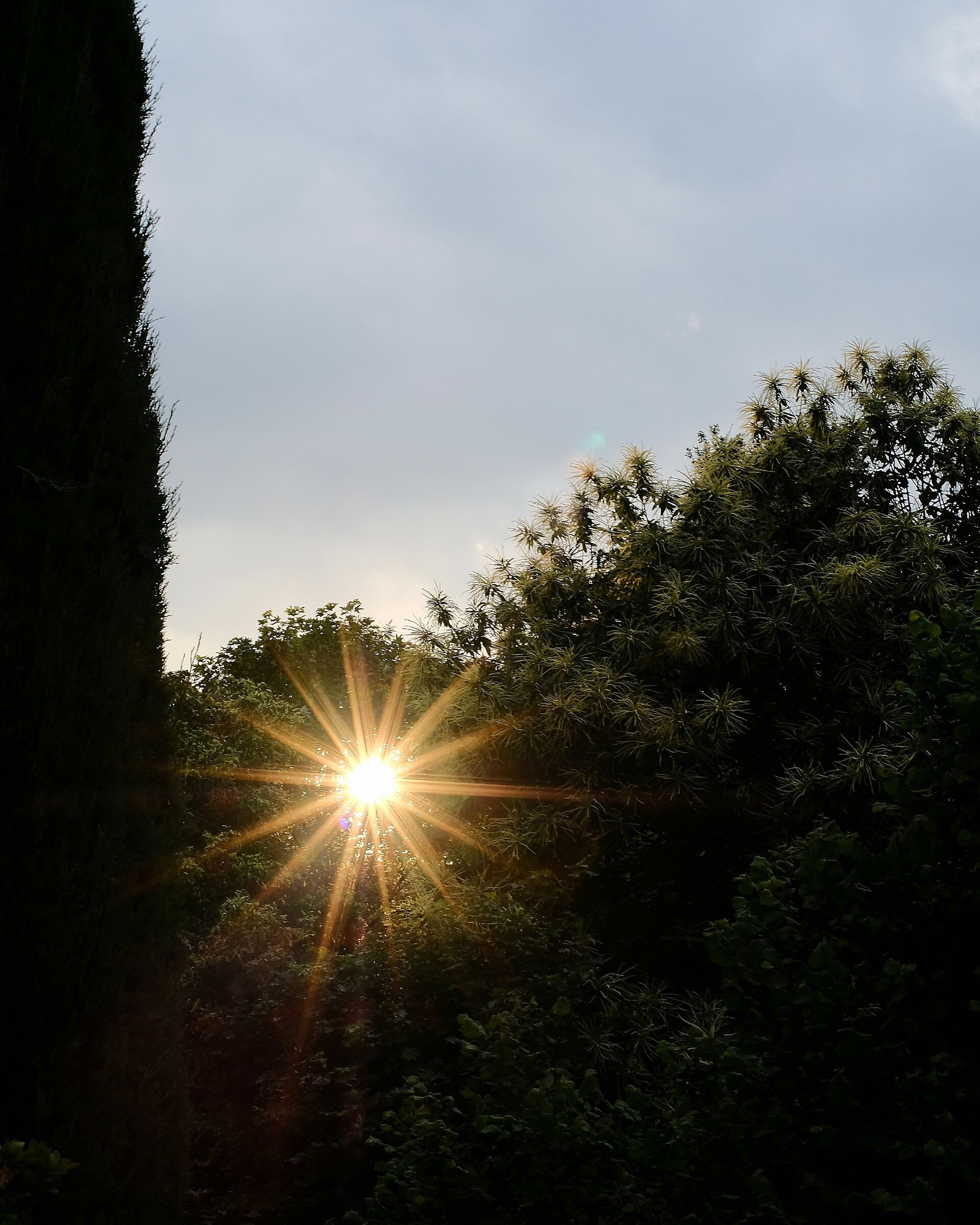 Untitled Photo