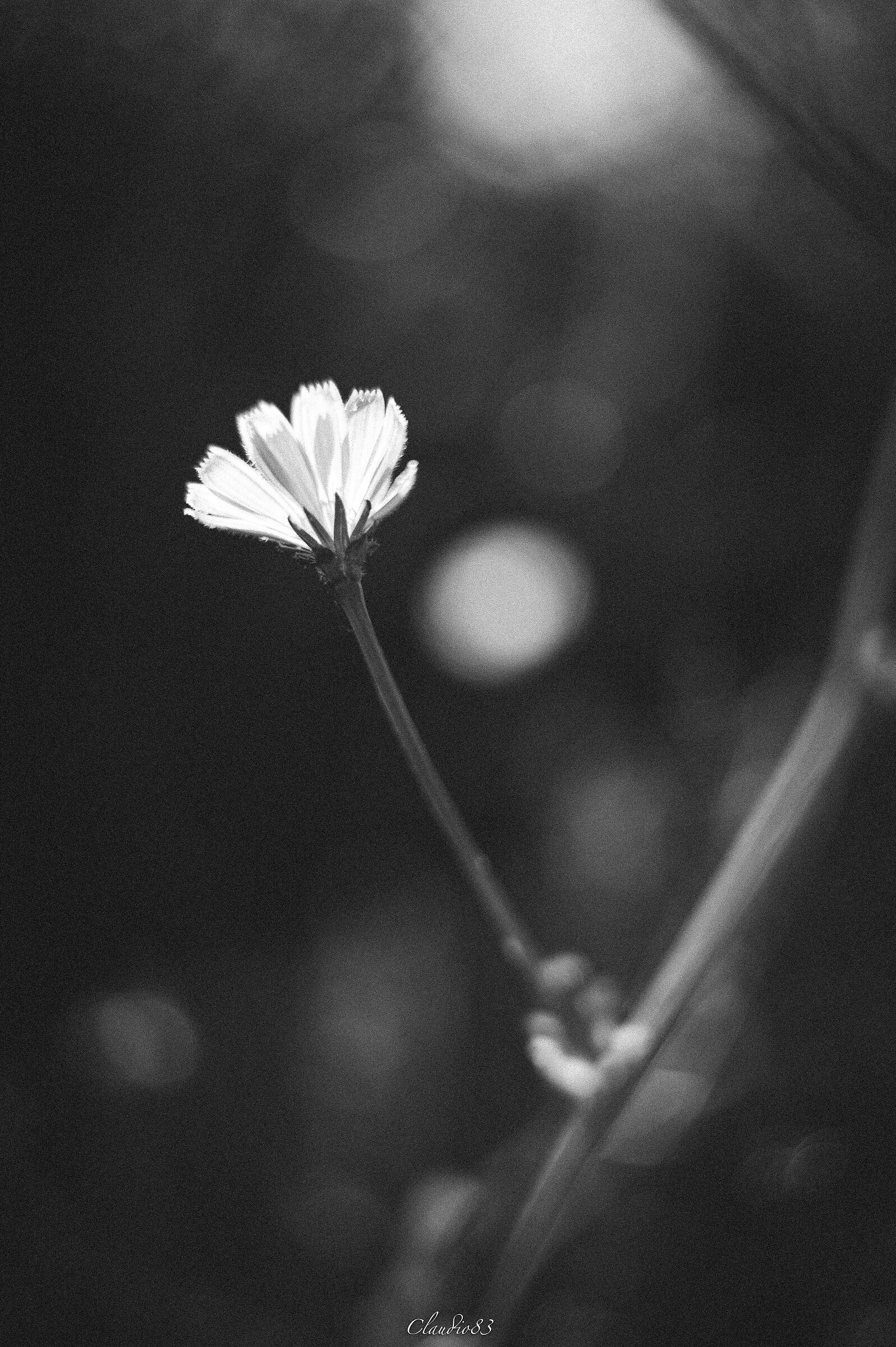 Towards the light...
