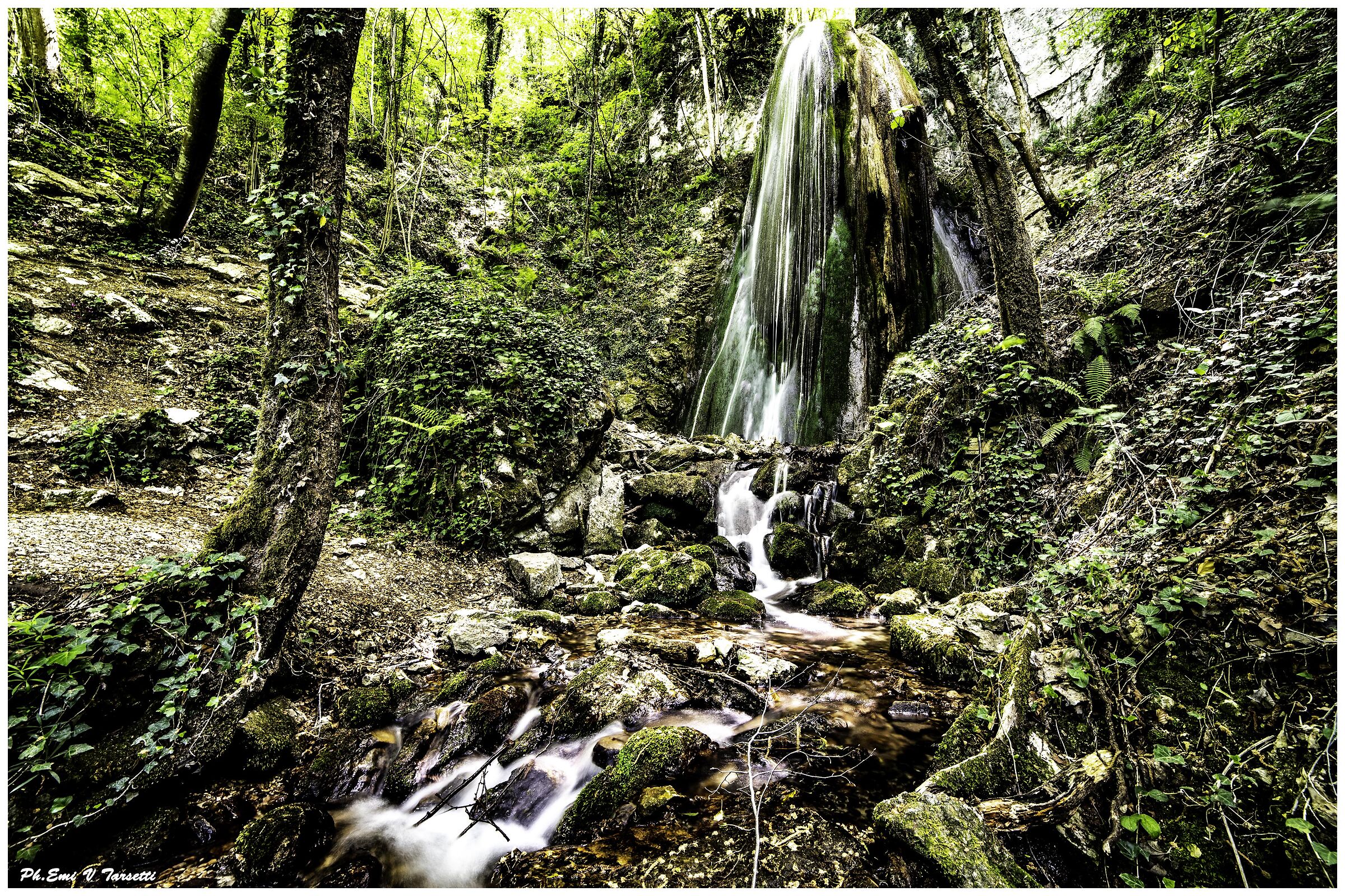Sturo della piscia....!