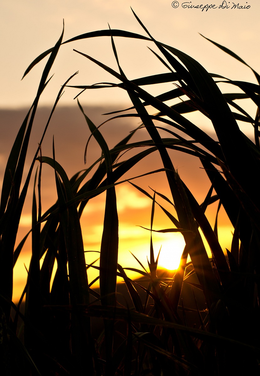 Un altro giorno se ne va..