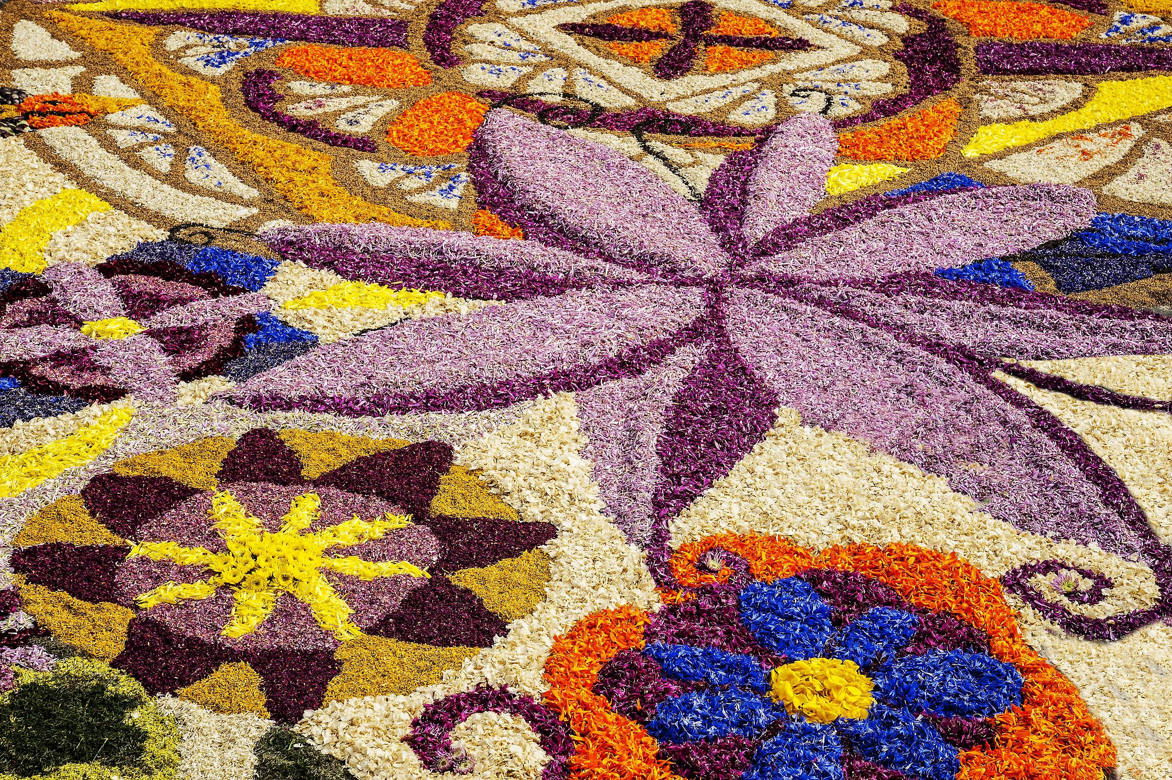 infiorata 3