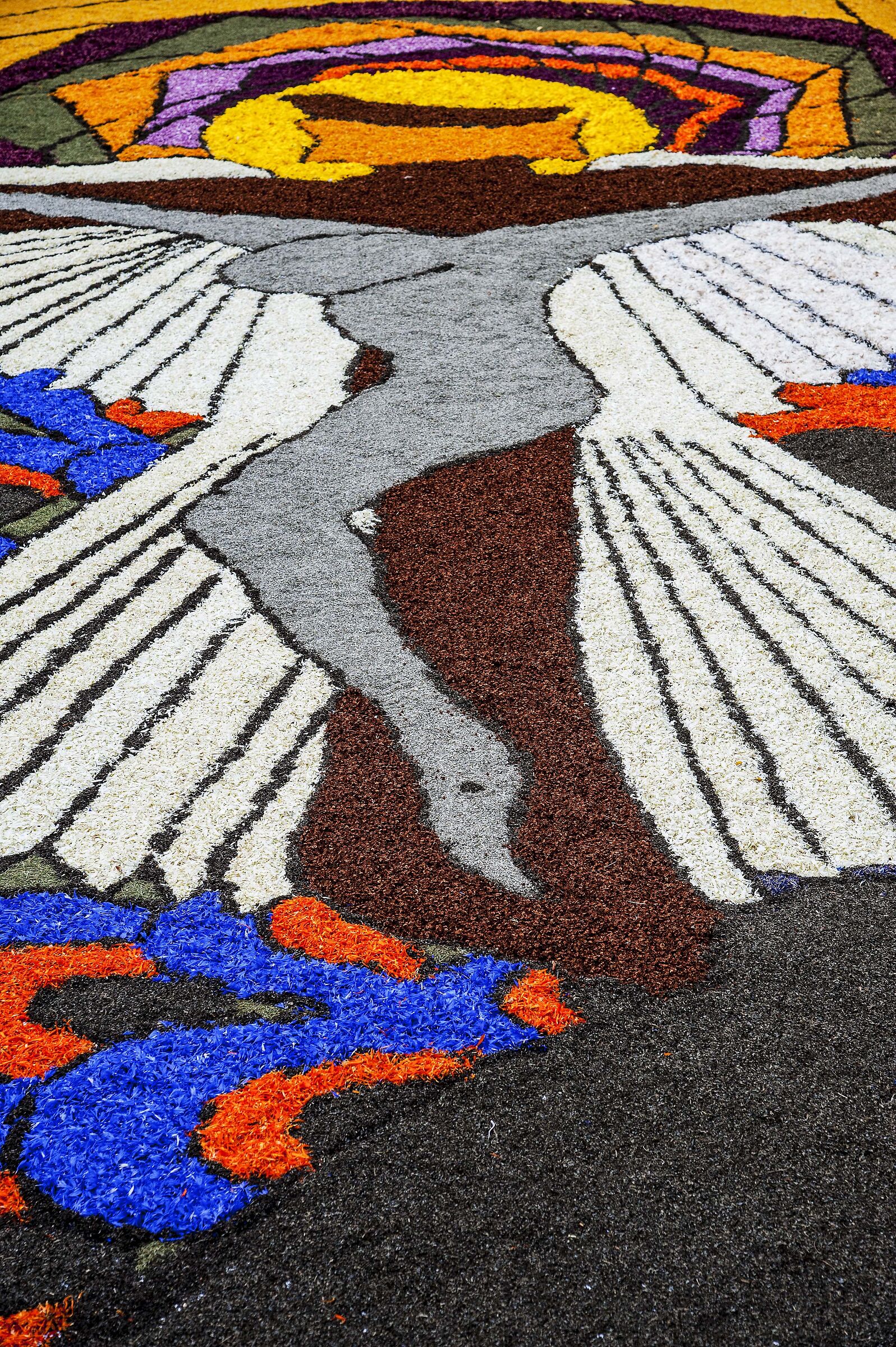 infiorata 4