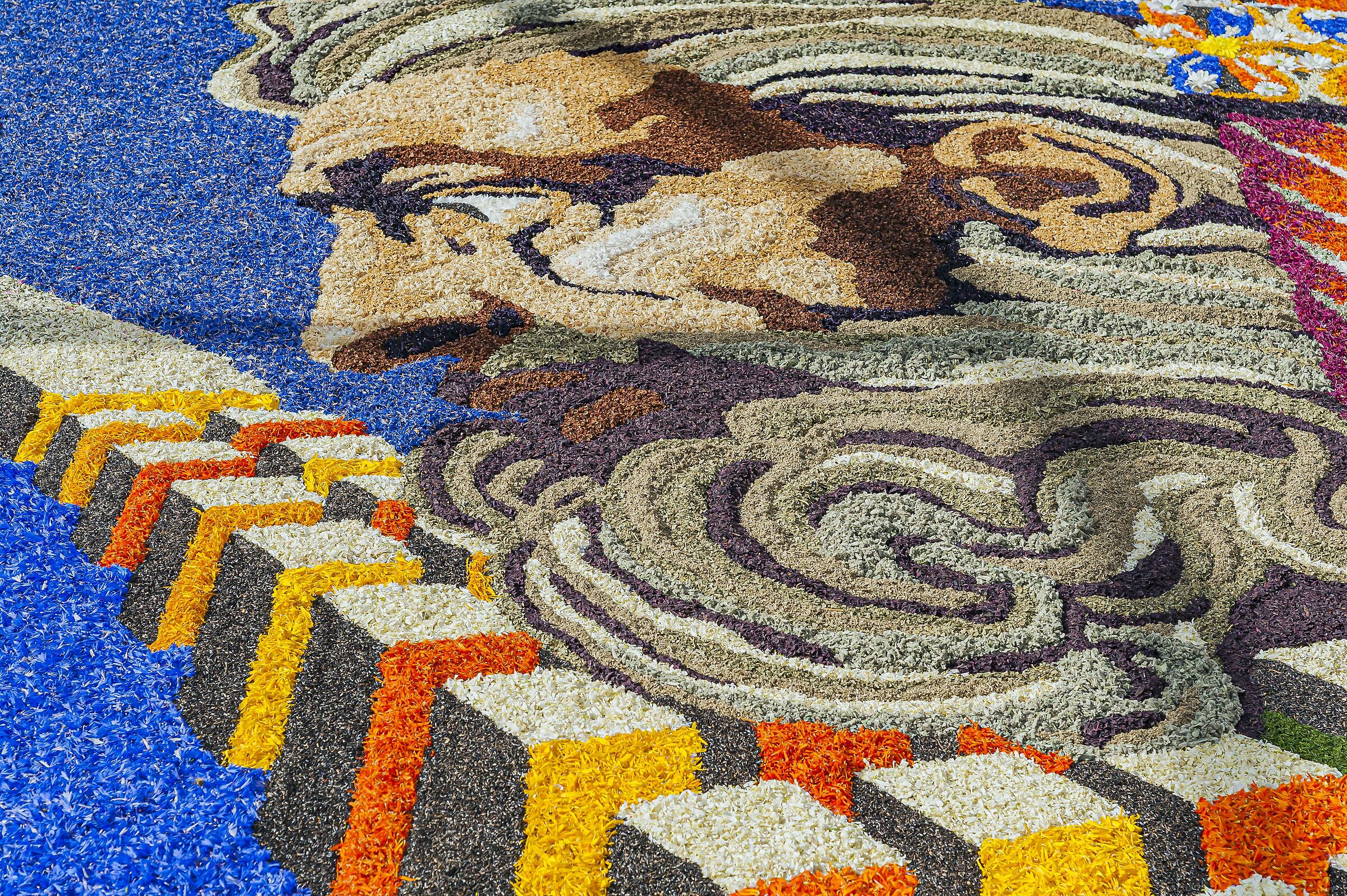 infiorata 9