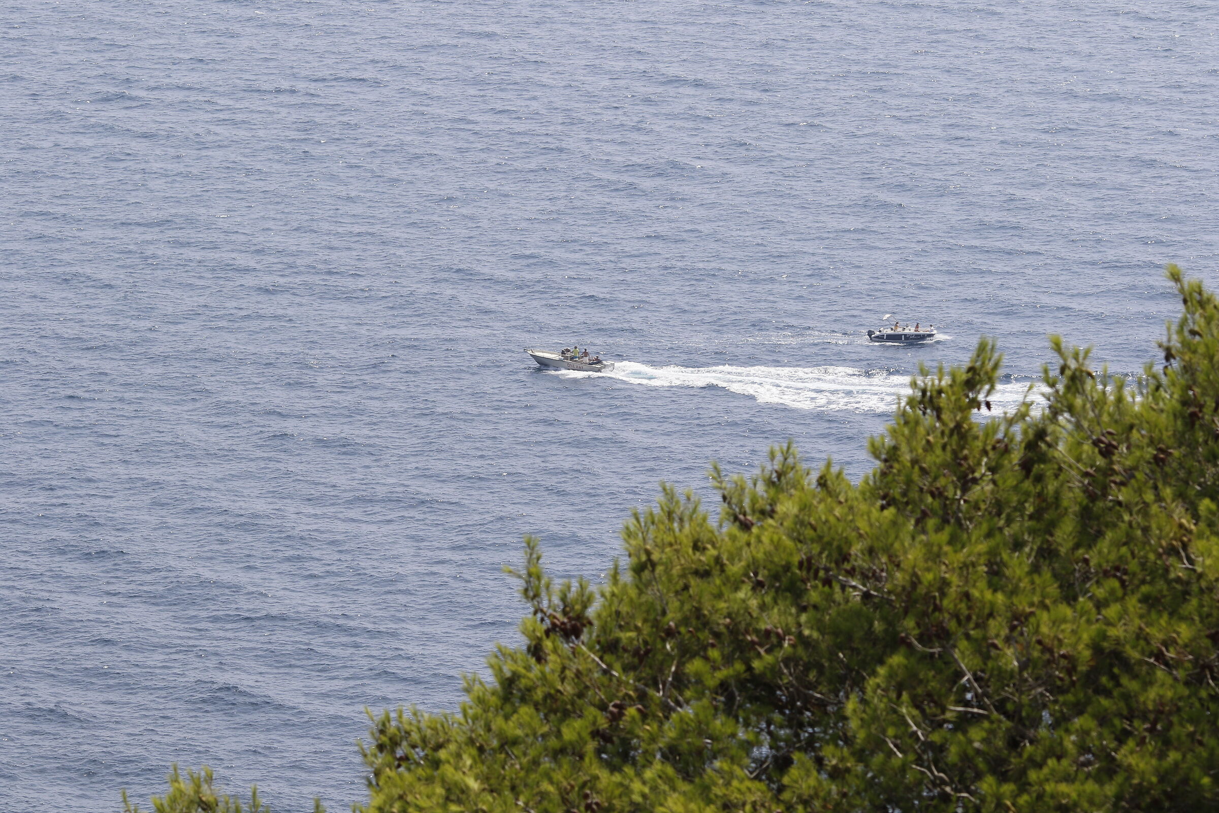 Crop 216 / 7D II, 135 F. 2 L USM