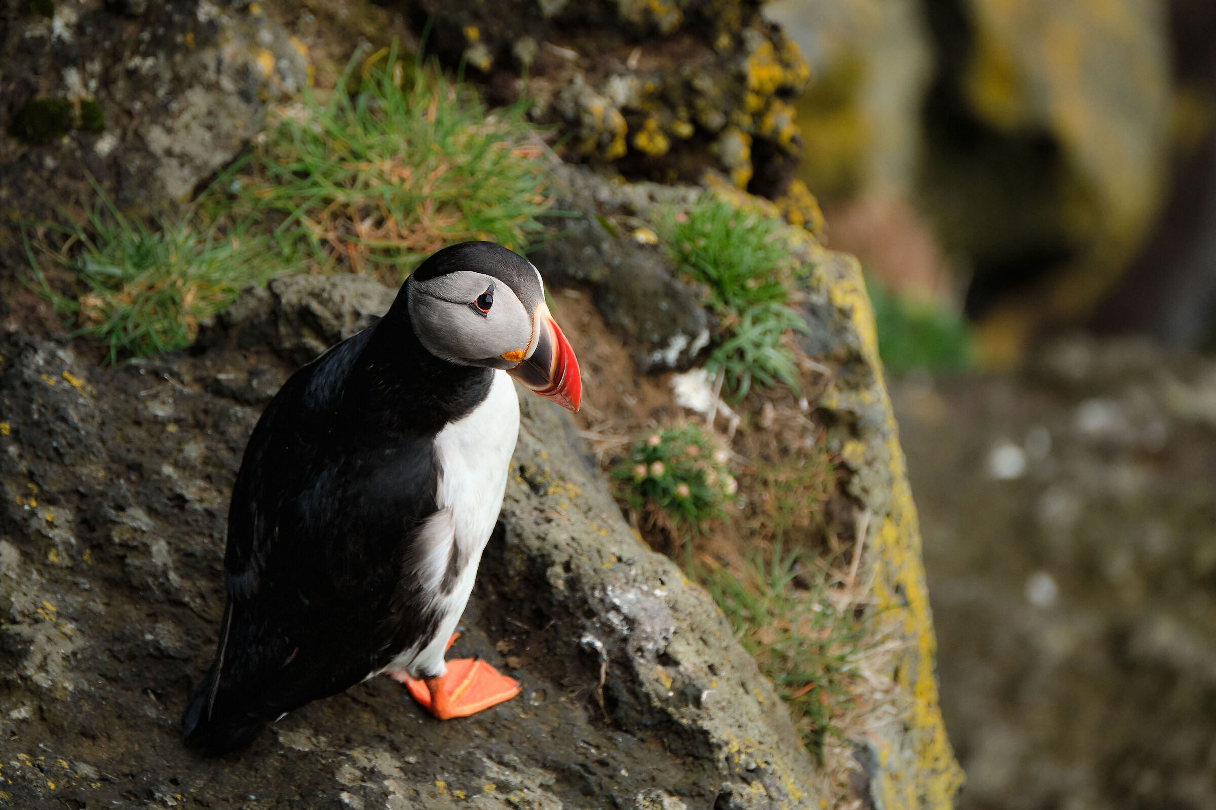 Short pit-stop between flights at sunset
