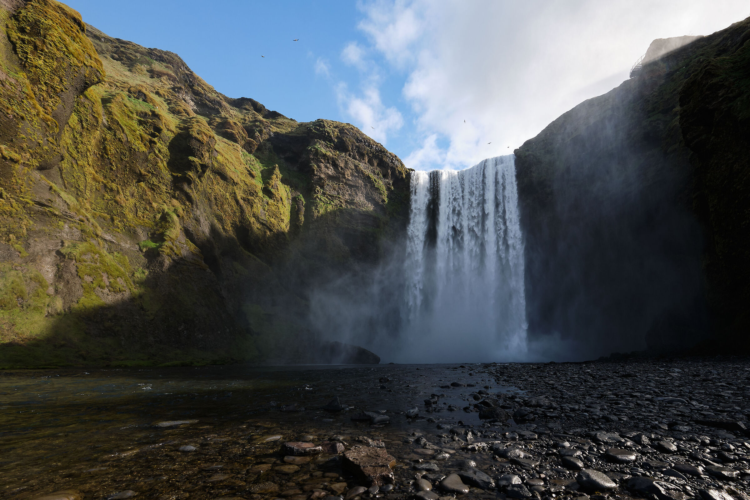 Amazement and wonder