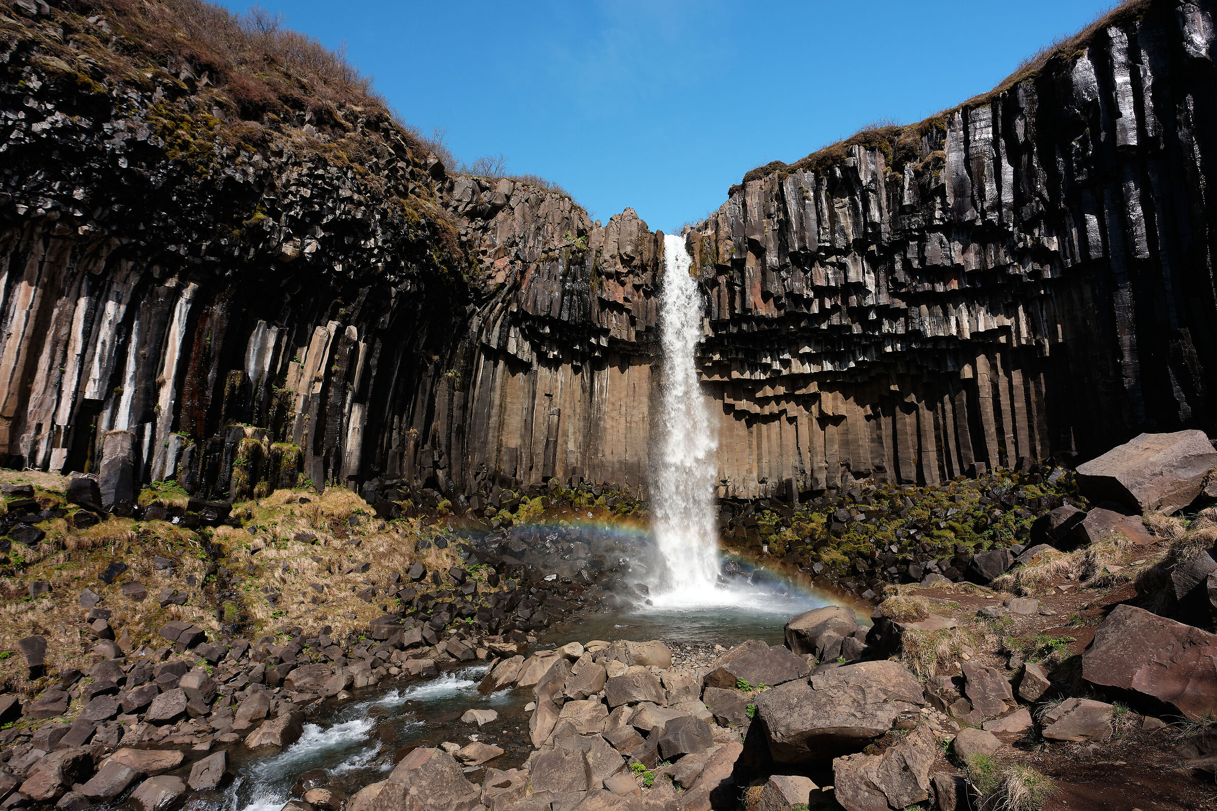 The hemicycle and the historic protagonist