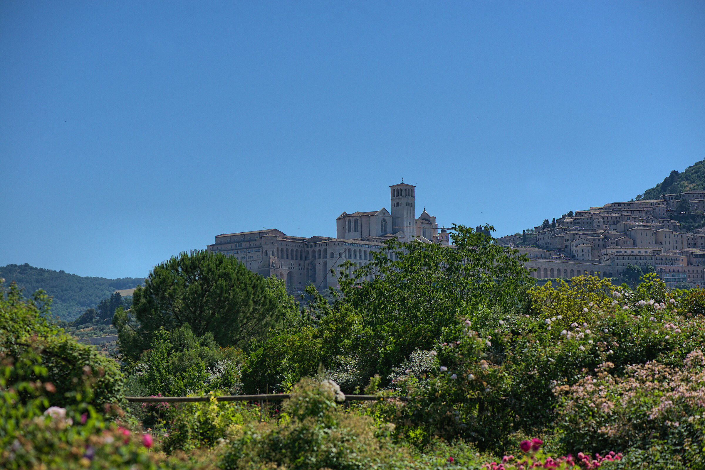 Assisi