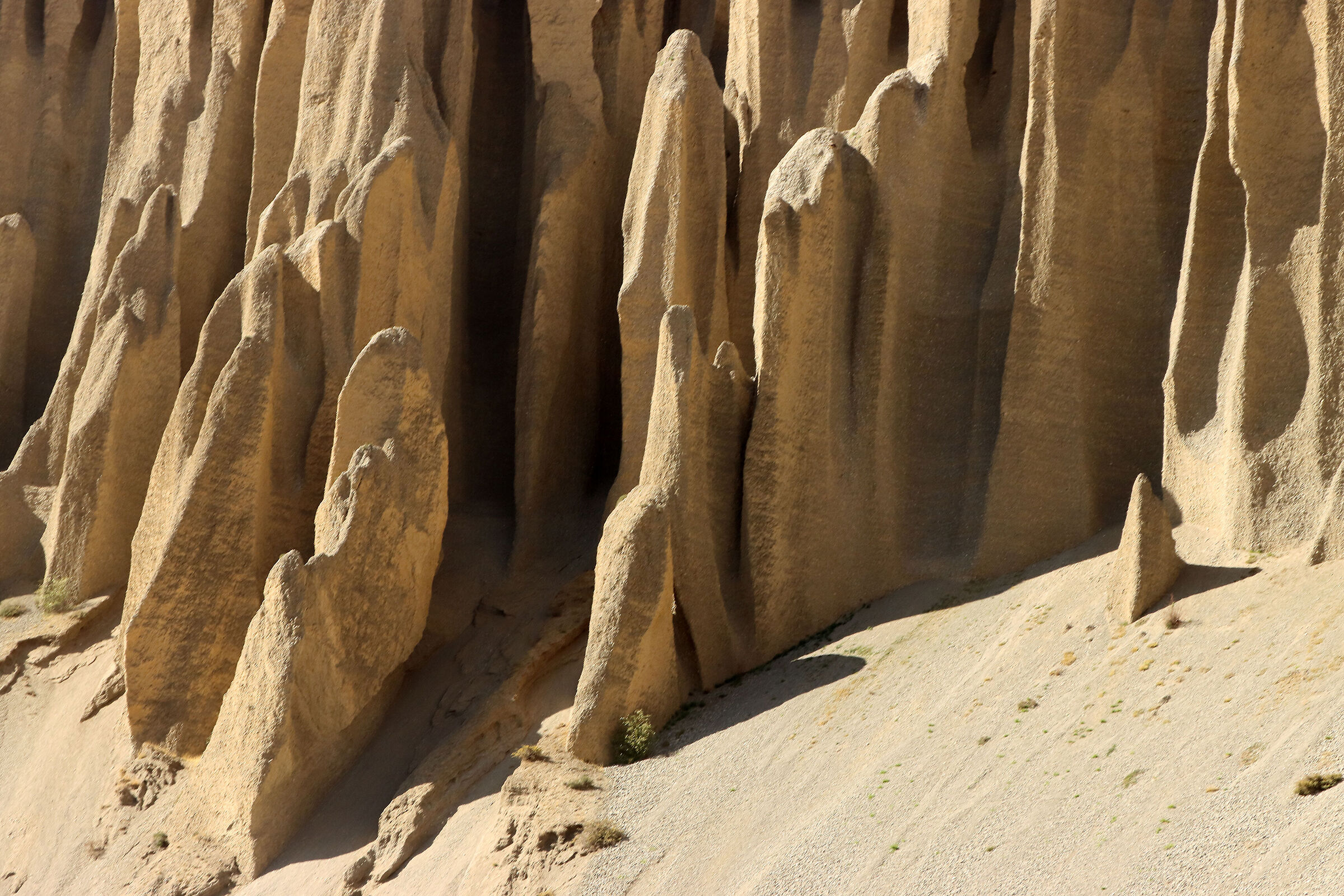 the erosion of the Mustang