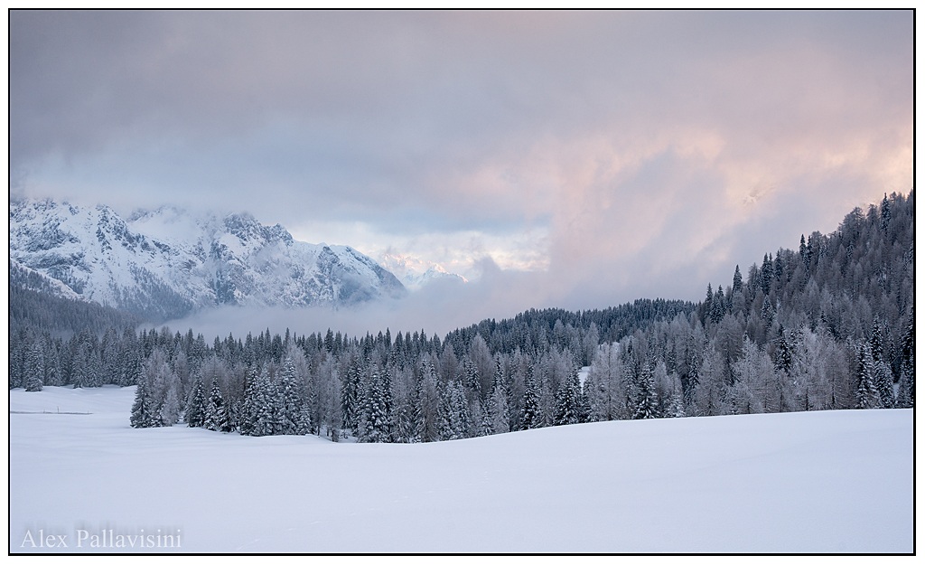 The dawn that there is no