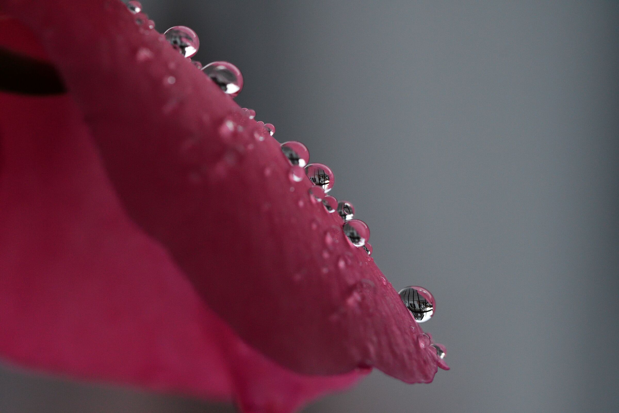 like pearls....