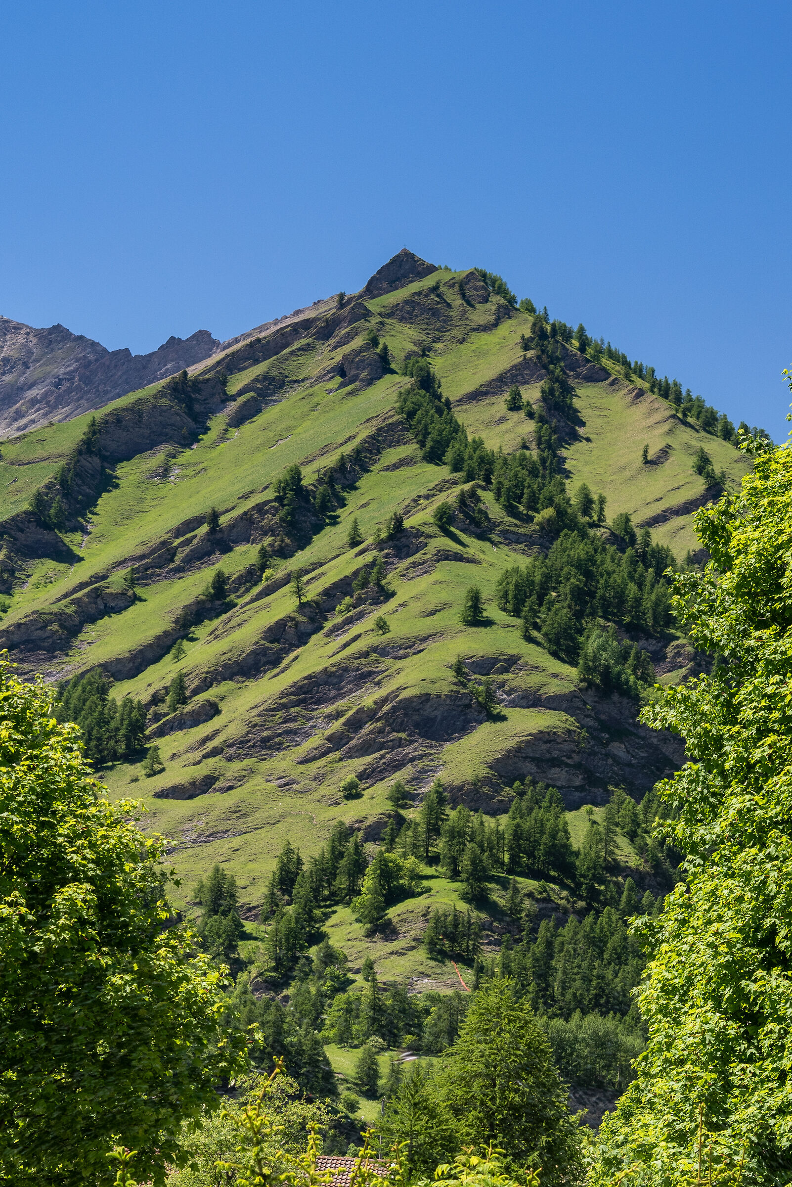 Green mountains...