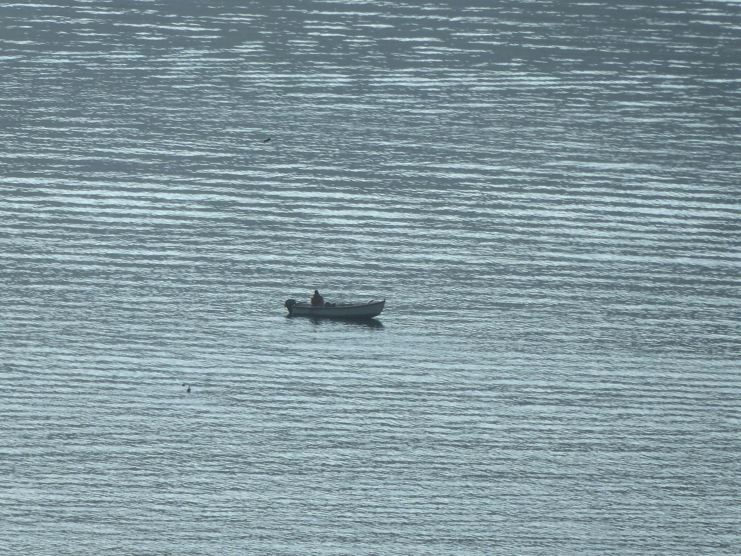 Fisherman on the lake