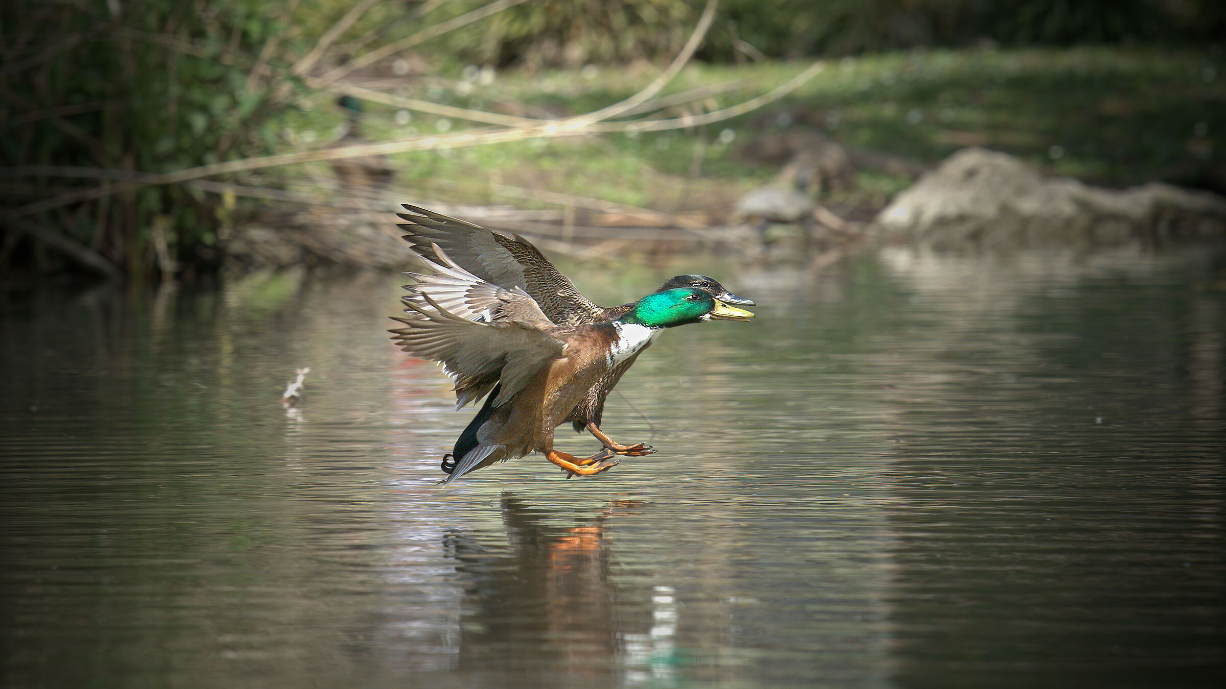 Sincronizzazione di coppia