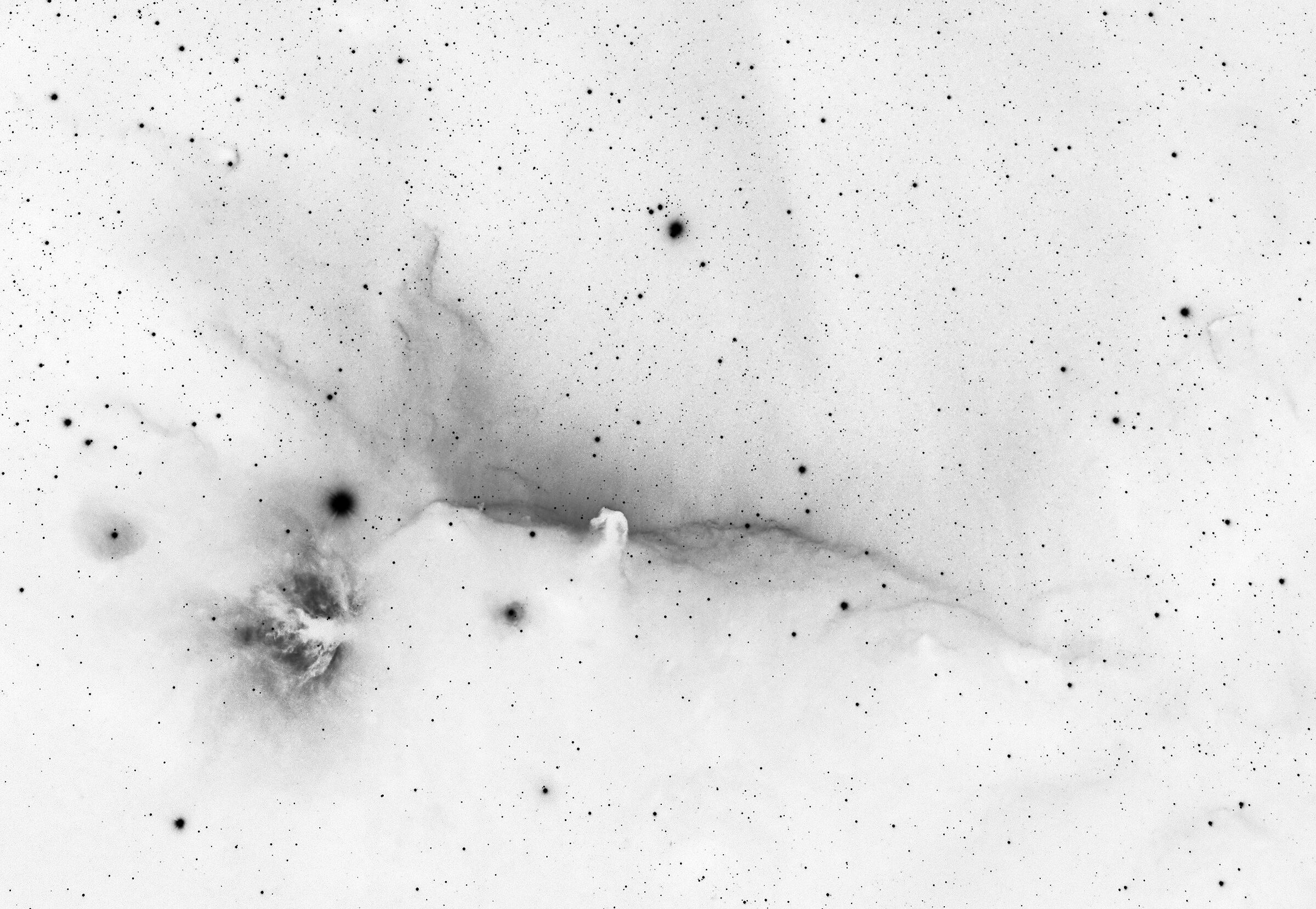 Nebulosa Testa di Cavallo con colori invertiti