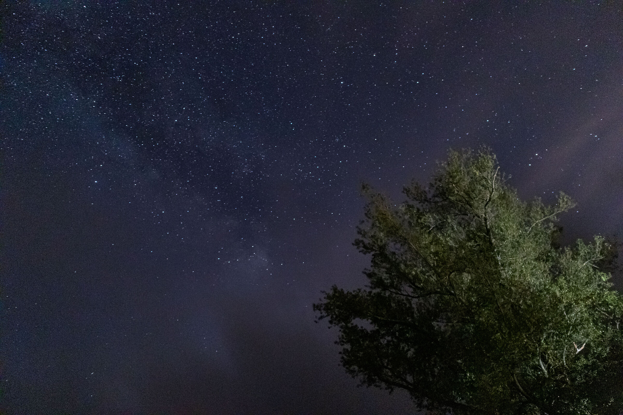 Milky Way, Aveto Valley