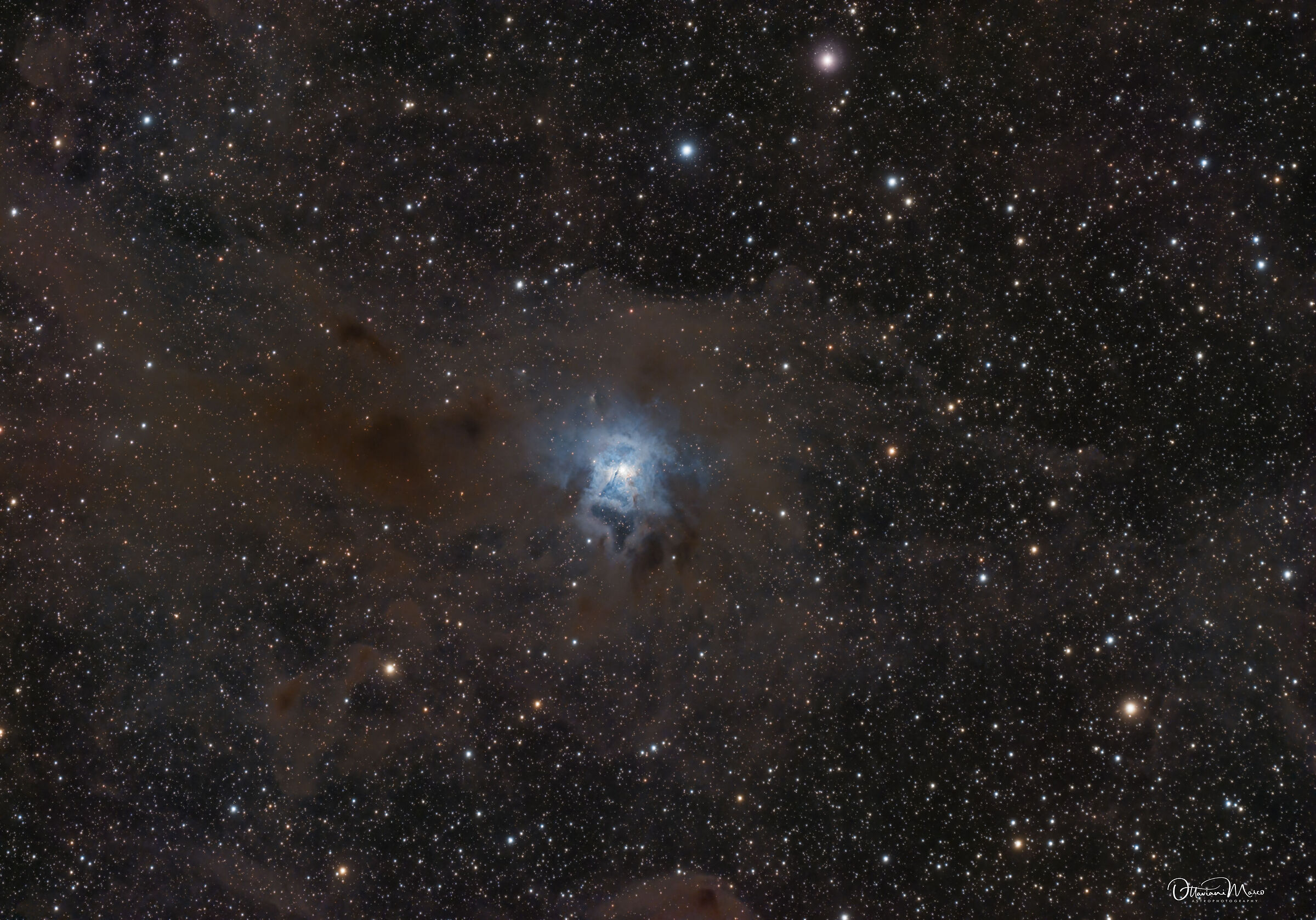 iris Nebula