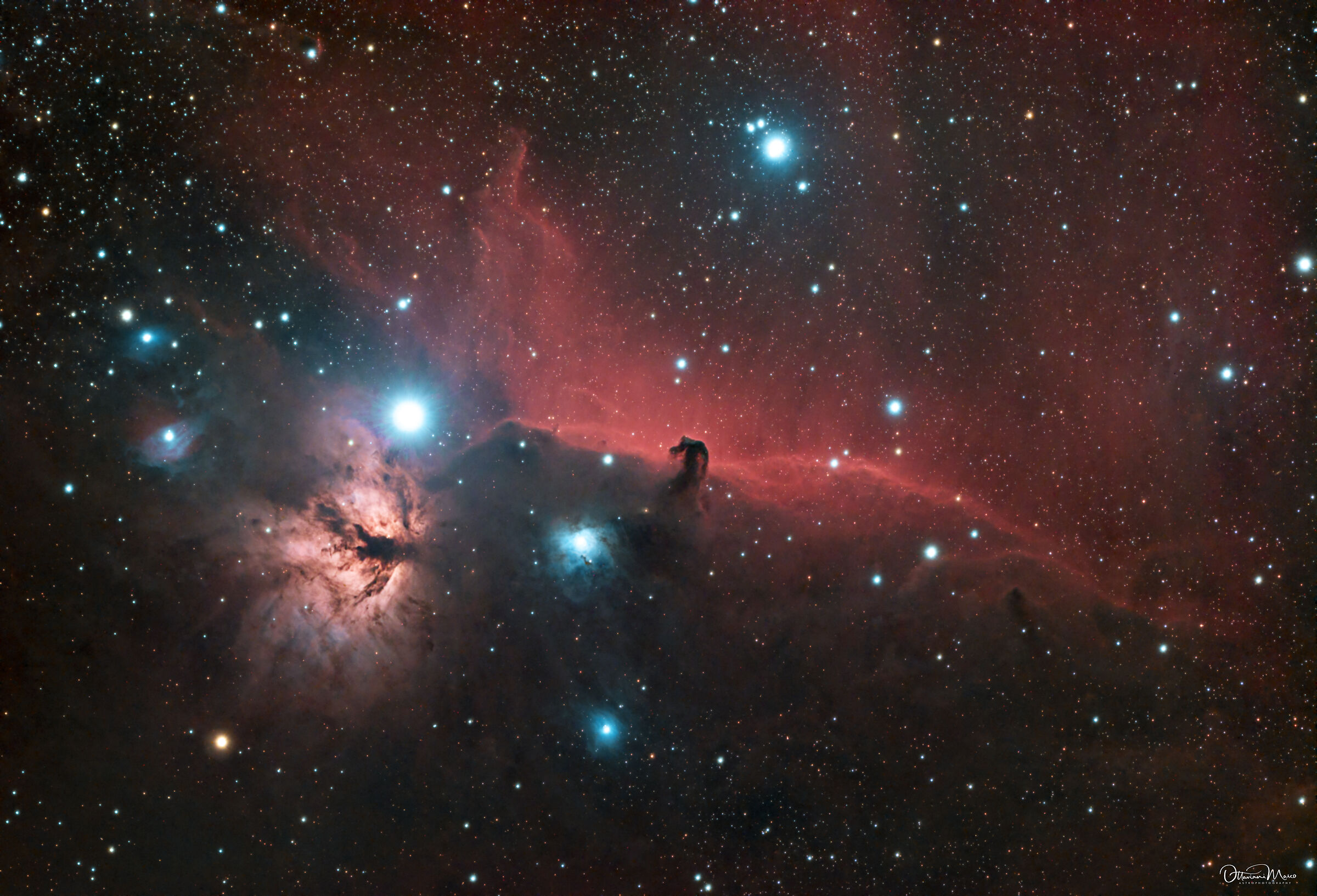 Nebulosa Testa di cavallo