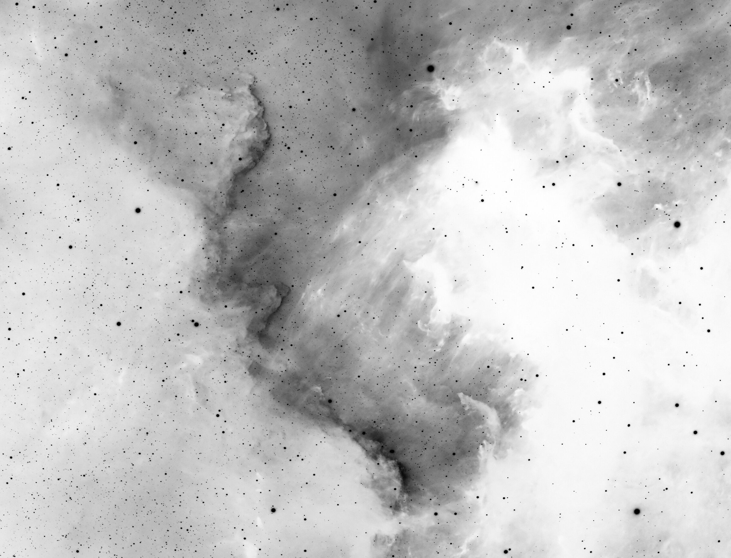 Muro del Cigno con colori invertiti