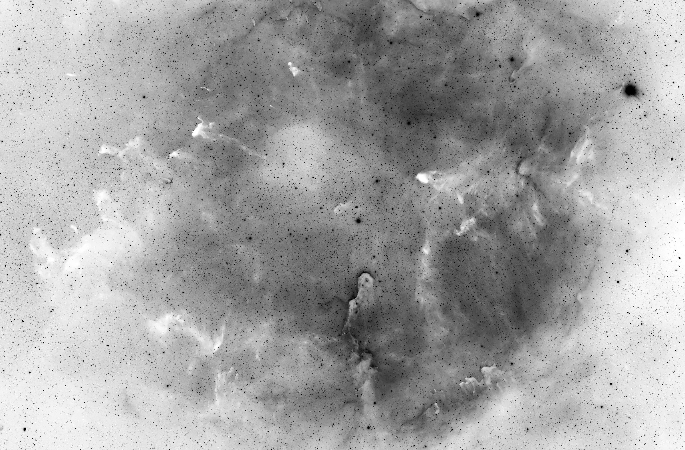 Elephant Trunk con colori invertiti