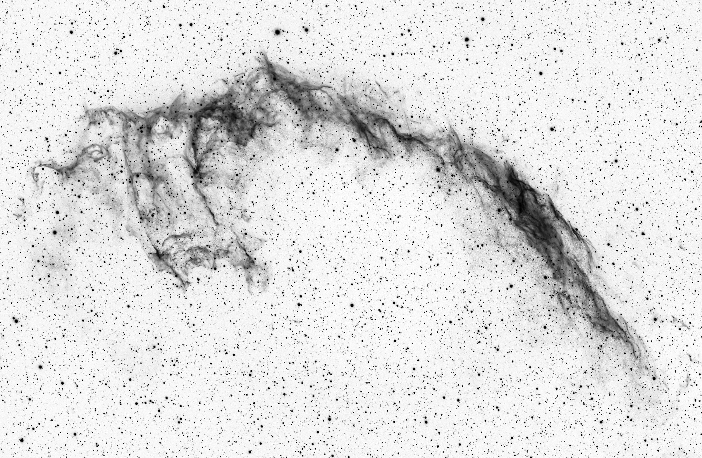 Velo Orientale con colori invertiti