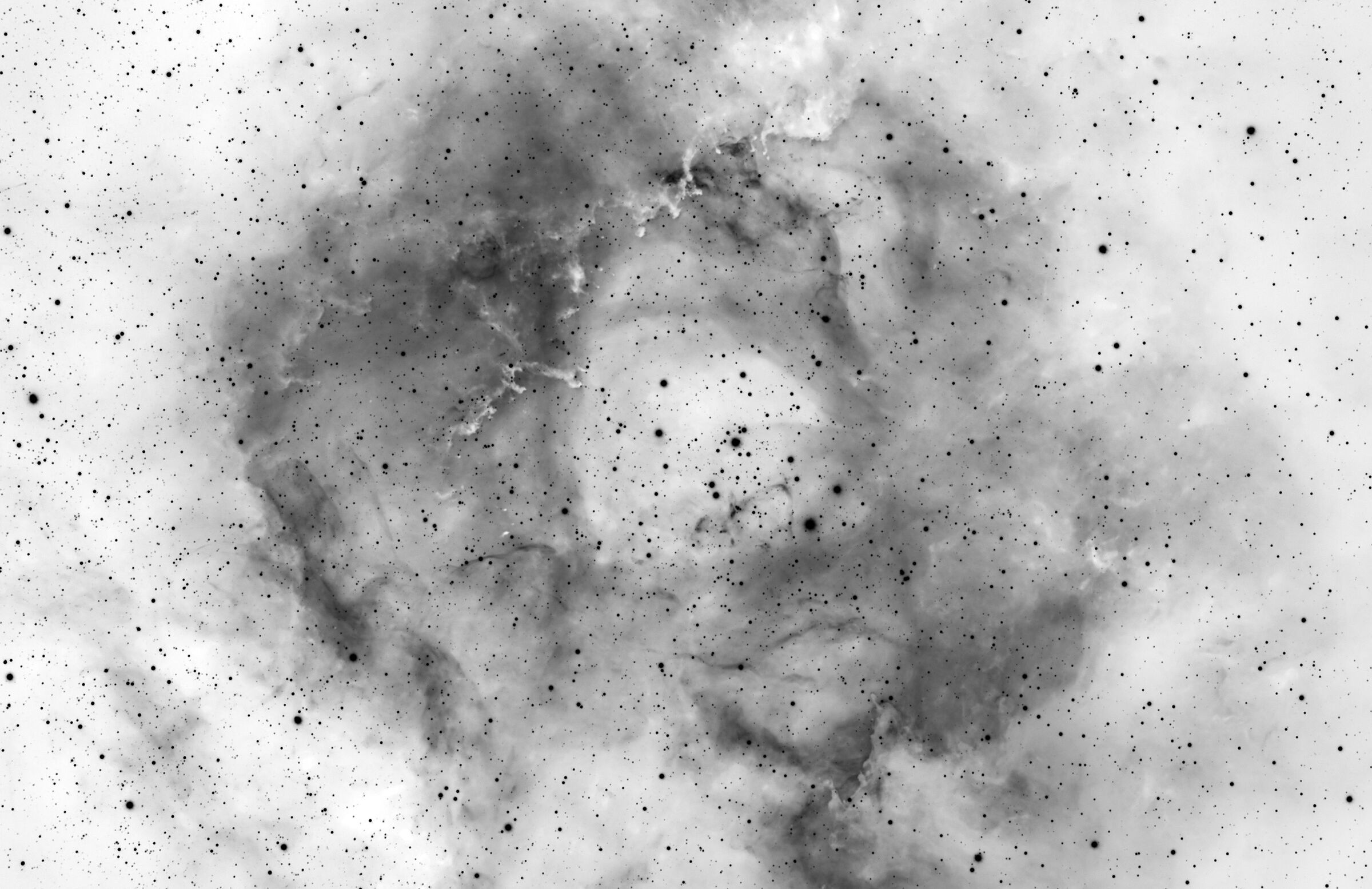 Nebulosa Rosetta con colori invertiti