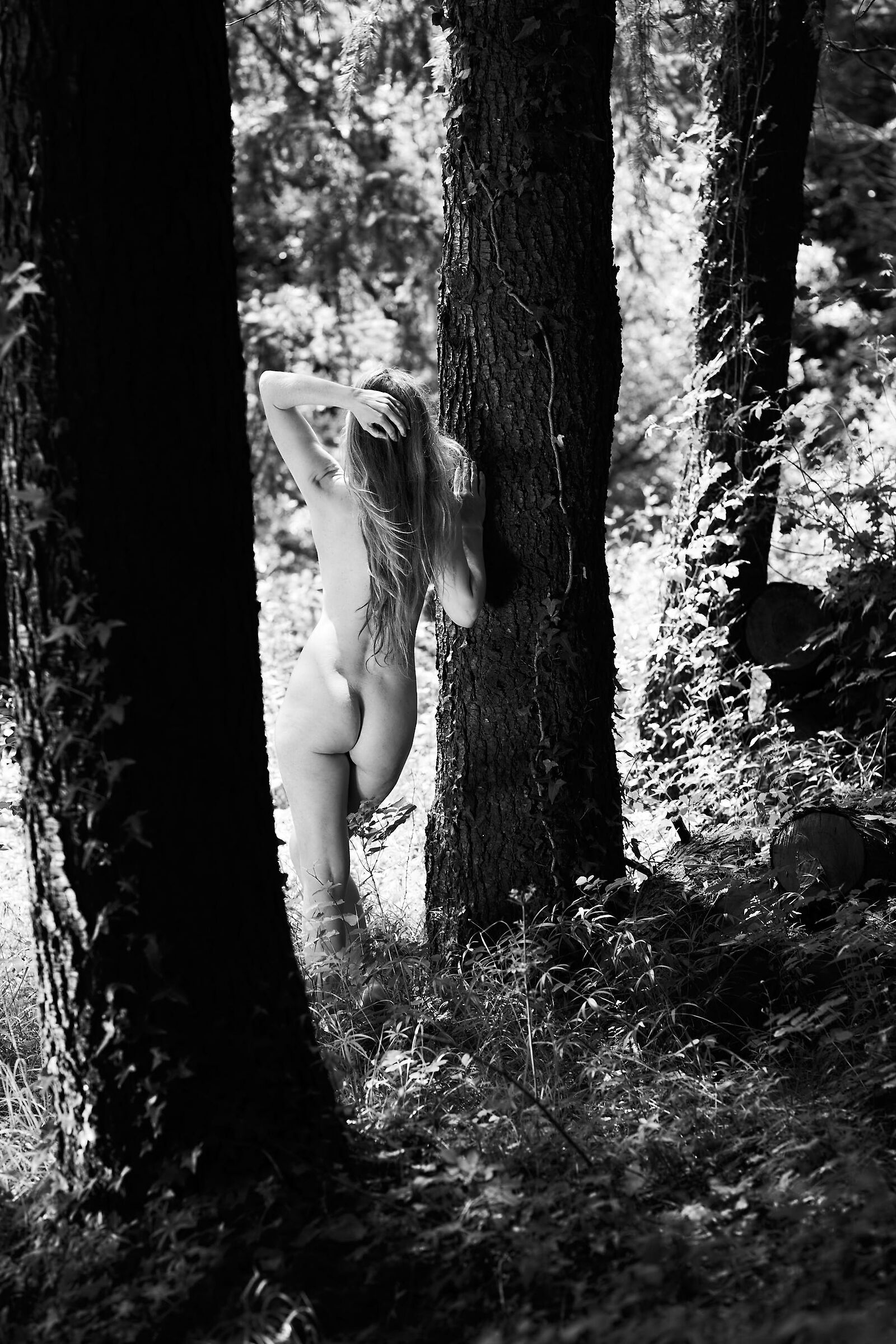 The Black and White Forest