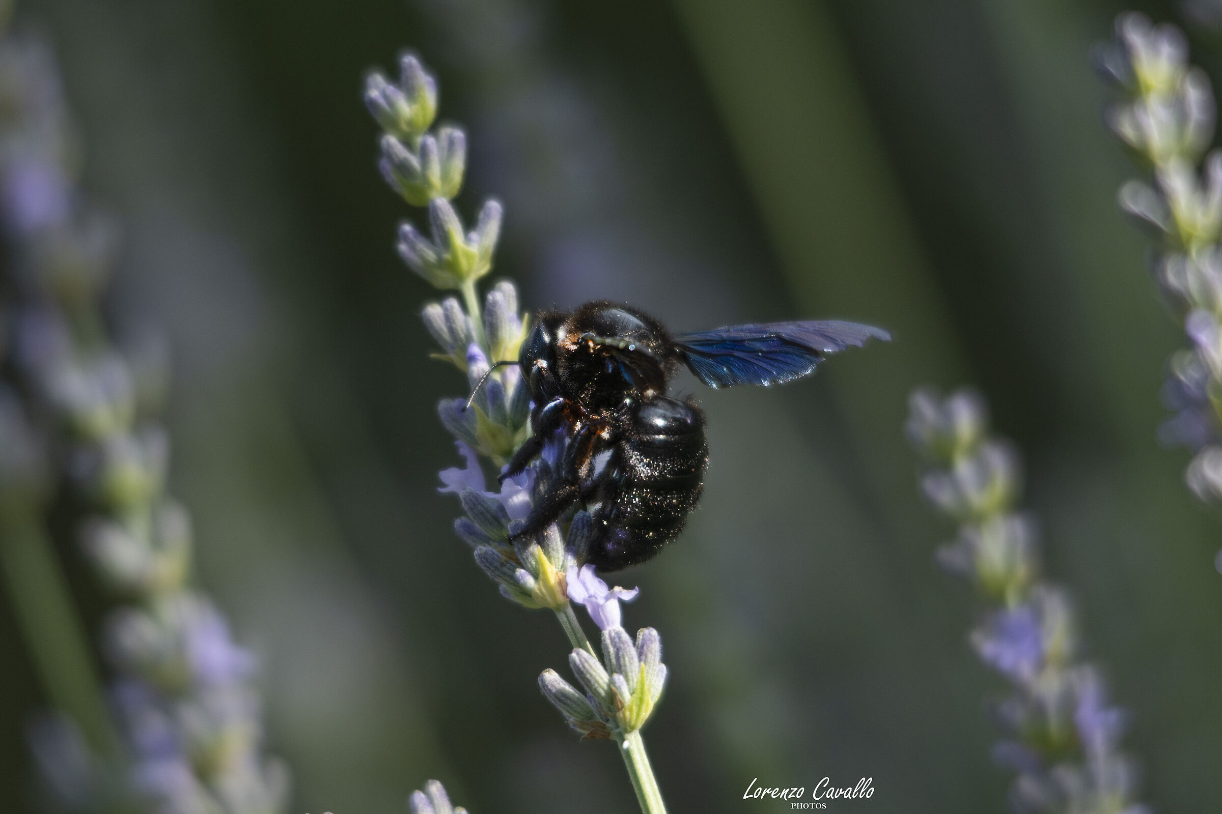 Prova 2 Sigma 120-400