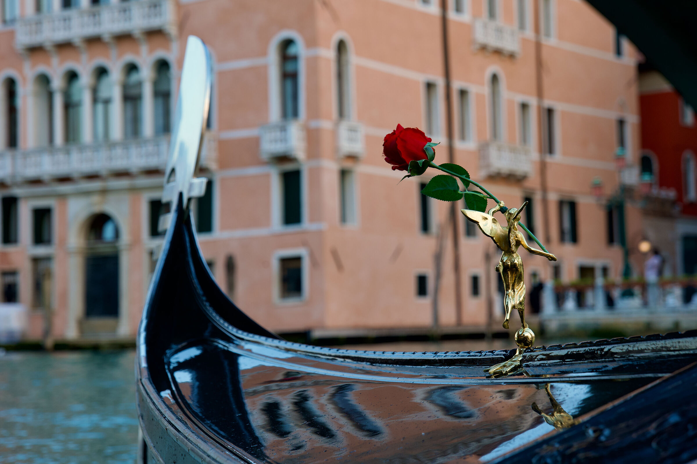 rose rosse