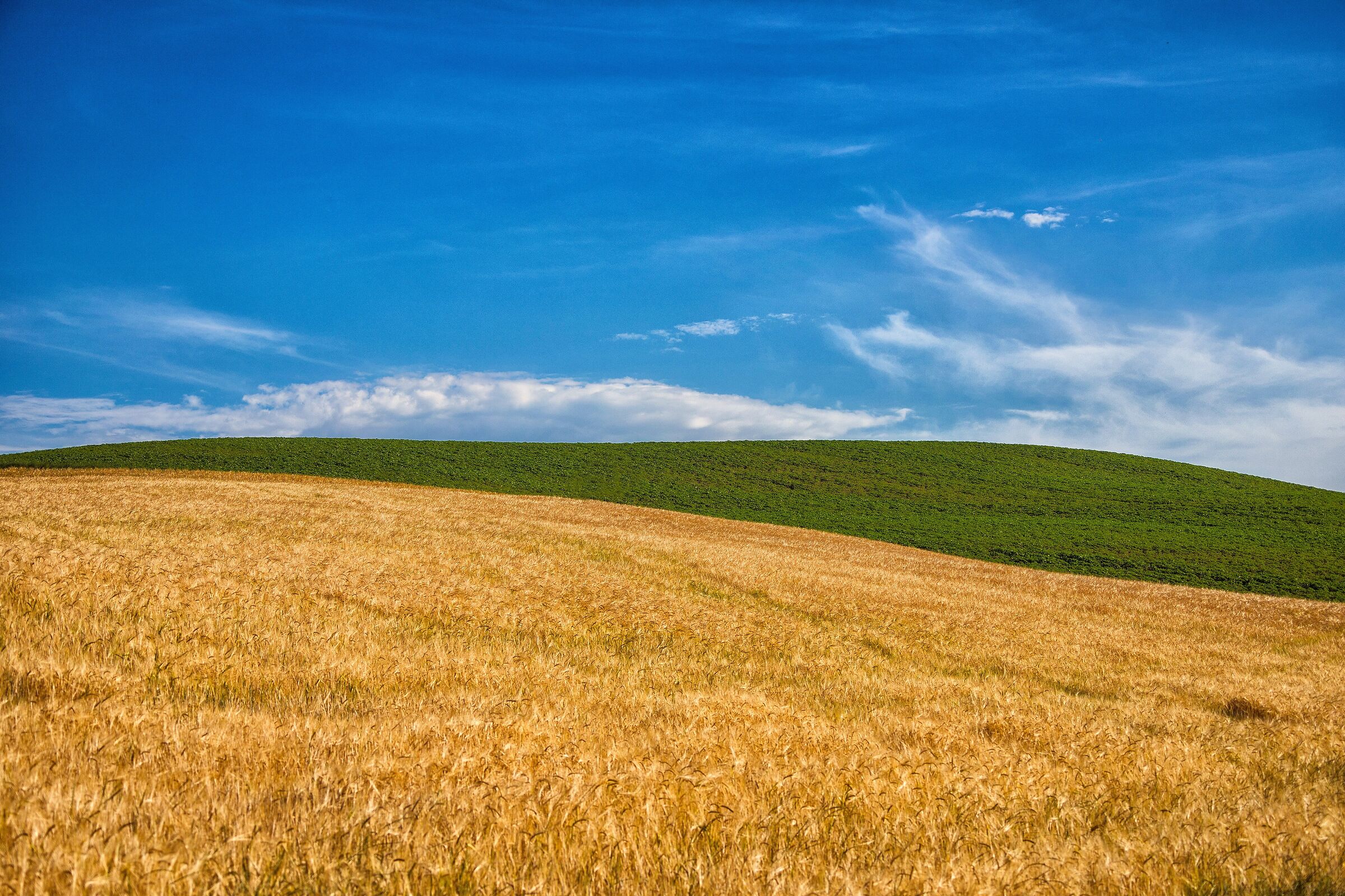 Campagna  marchigiana