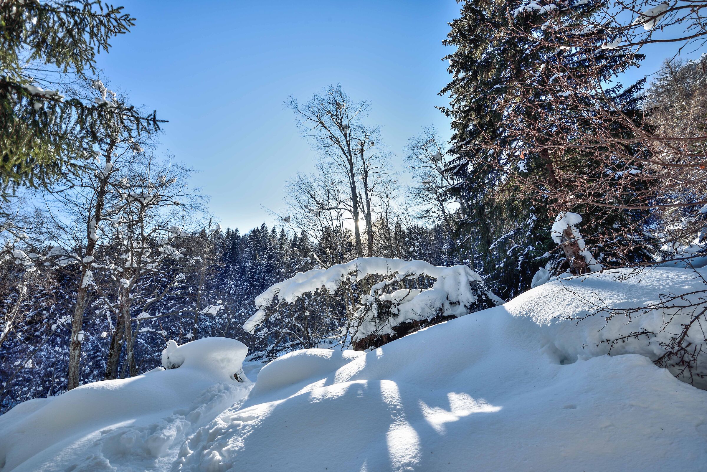 January 2021 snowshoeing Foppiano di Crodo