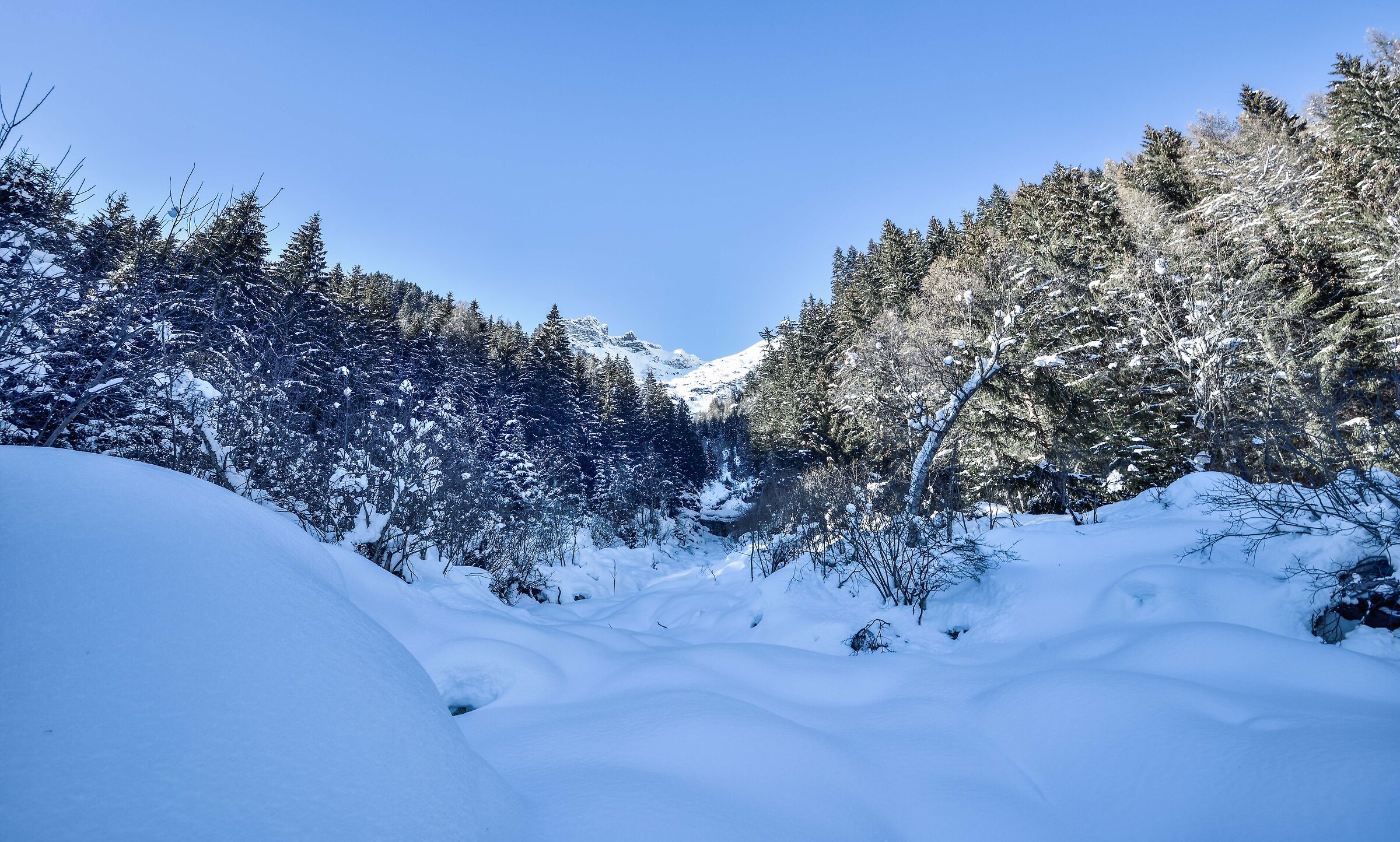 January 2021 snowshoeing Foppiano di Crodo