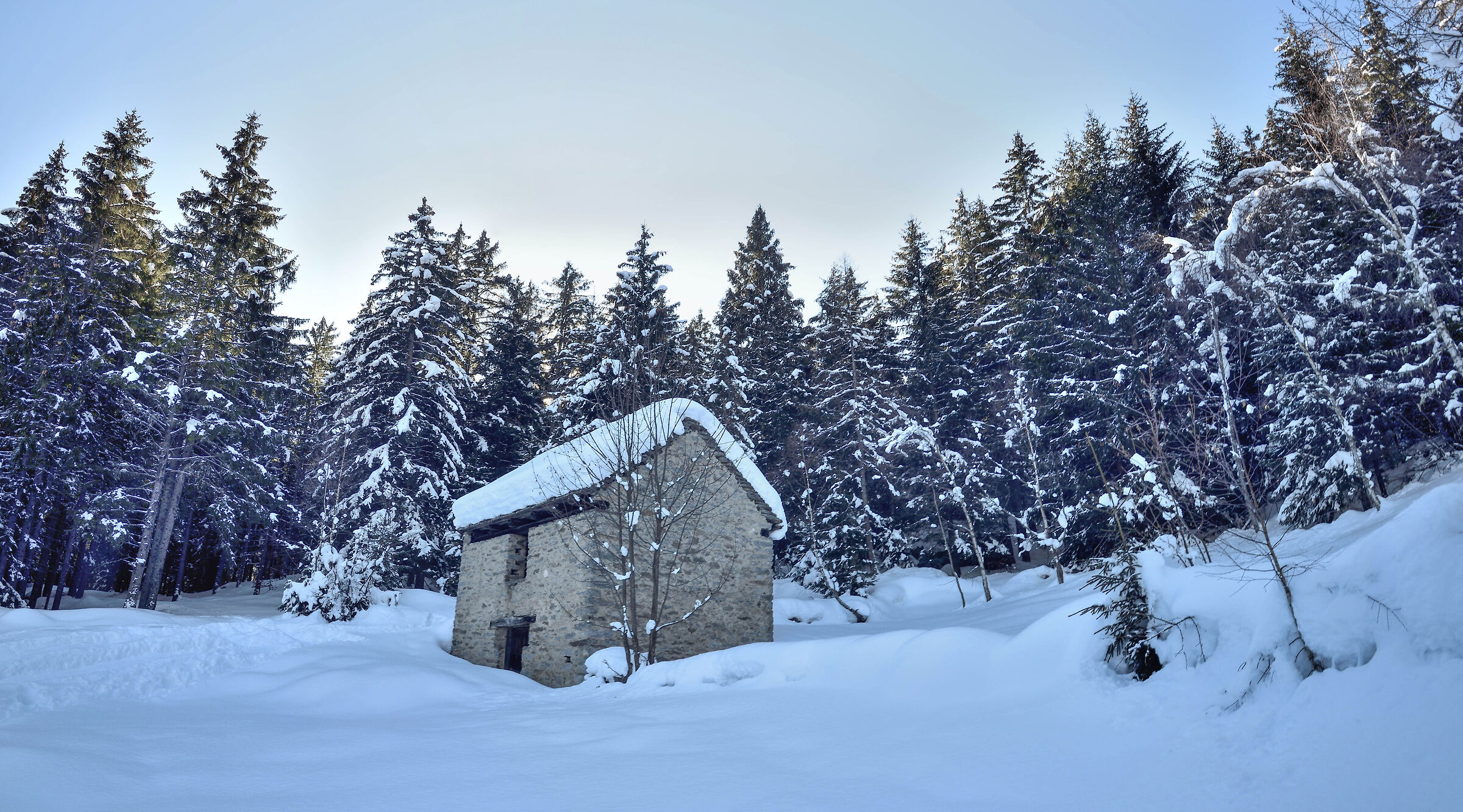 snowshoeing Foppiano di Crodo-Alpe Voma-Alpe Prepiana on