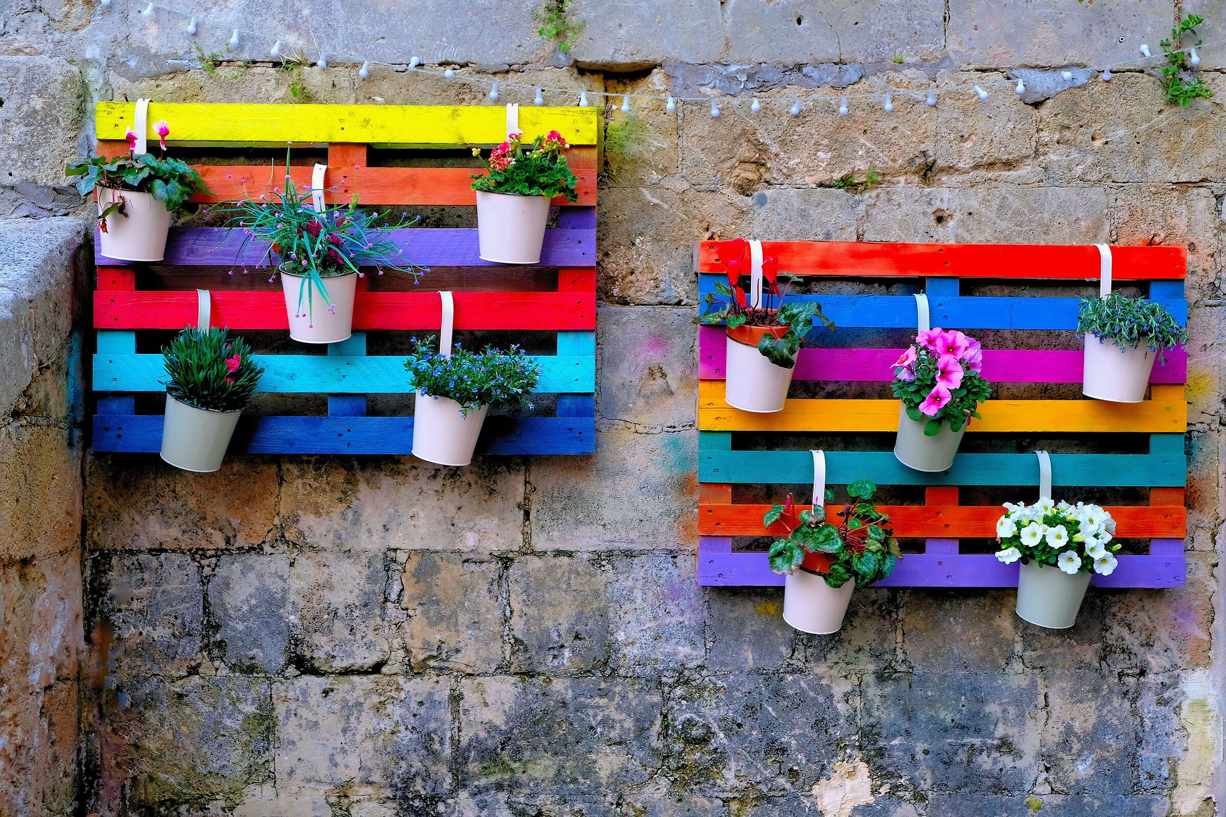 Fleurs